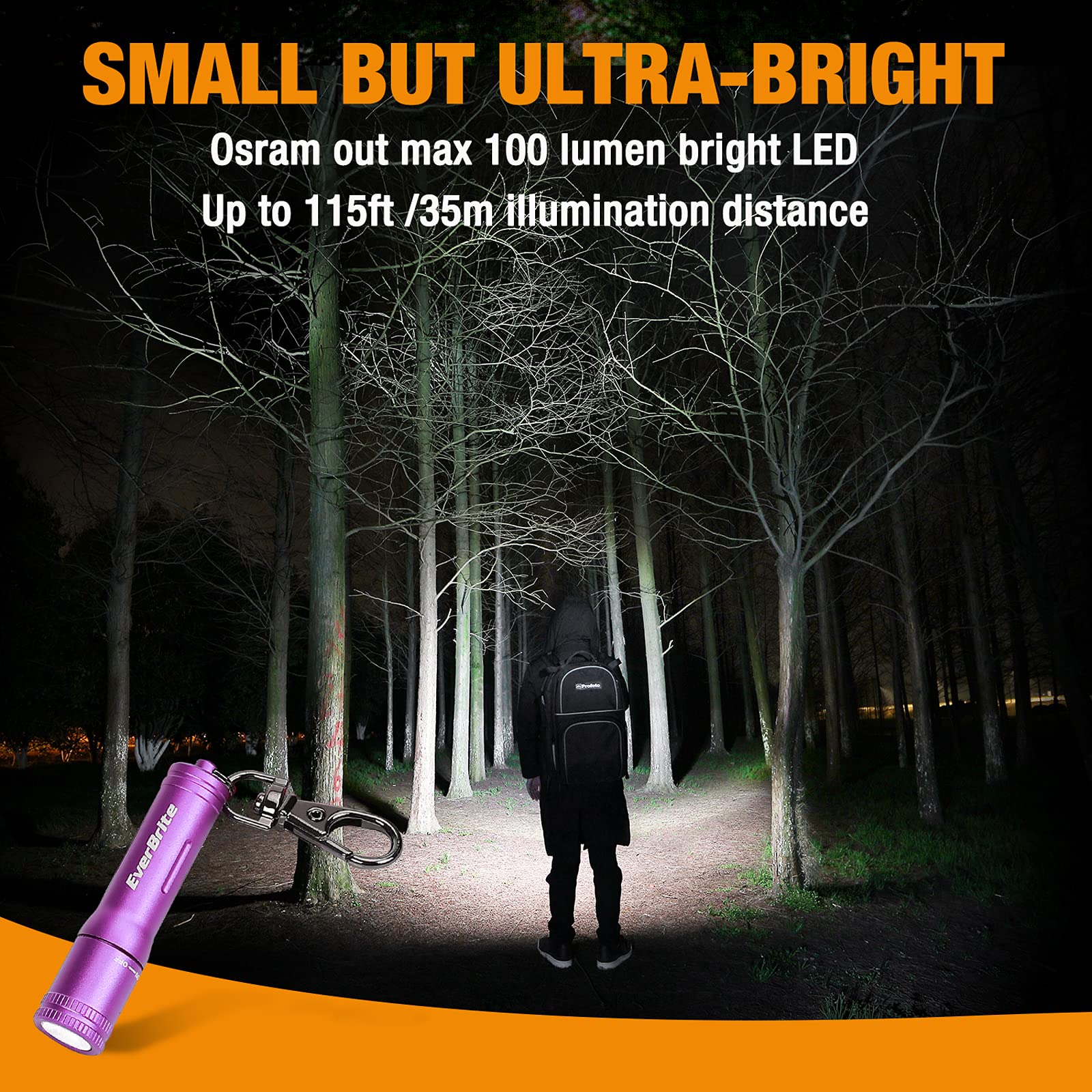 EverBrite Keychain LED Flashlight Mini Portable Torch, Purple, Model E011146AE, Metal, AAA Battery Included