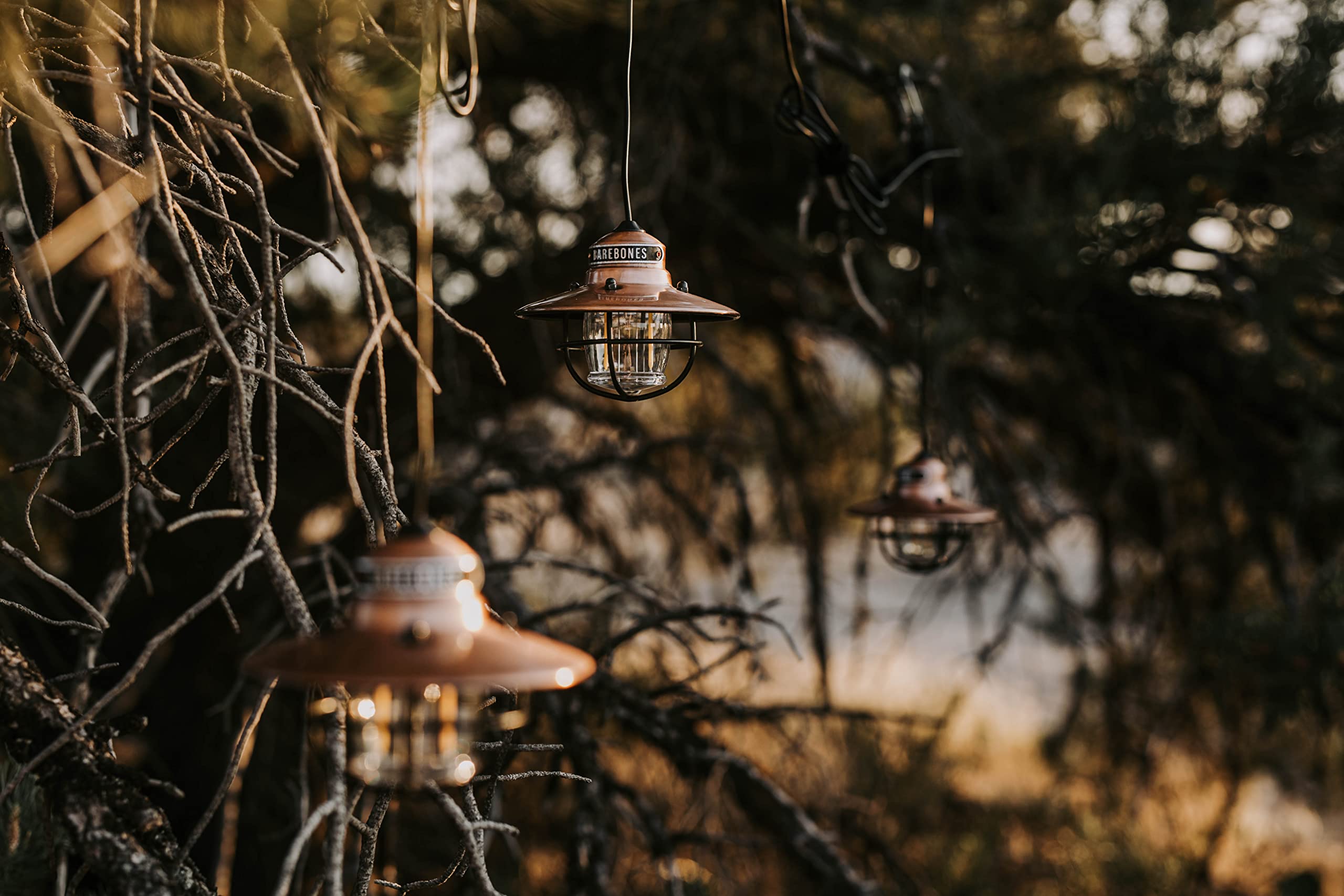 Barebones Edison Pendant String Lights - Copper - 3 LED Bulbs - 10-Foot Cord - Energy-Efficient for Outdoor/Indoor Use