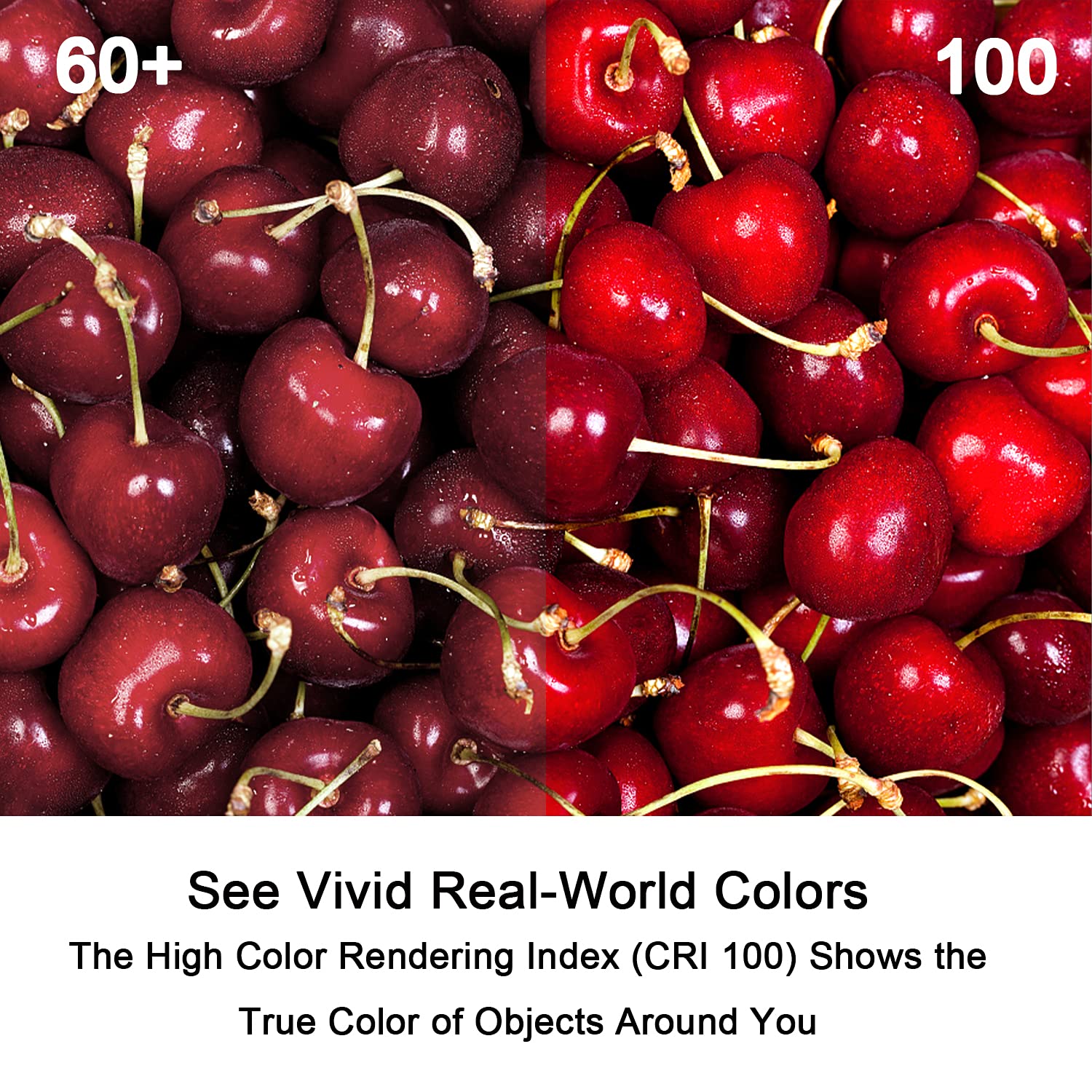 Lacnooe G8 Halogen Light Bulbs 35W 120V Dimmable Warm White 2700K -