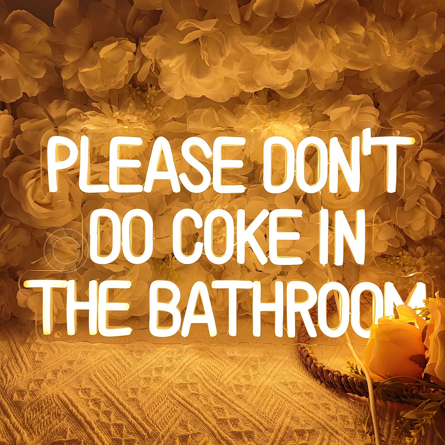 Sylhome Please DonT Do Coke In The Bathroom Game Room Bedroom Bar Store Wall Decor Sign Birthday Christmas Party Backdrop Gifts Usb 16.9X9.2 Warm