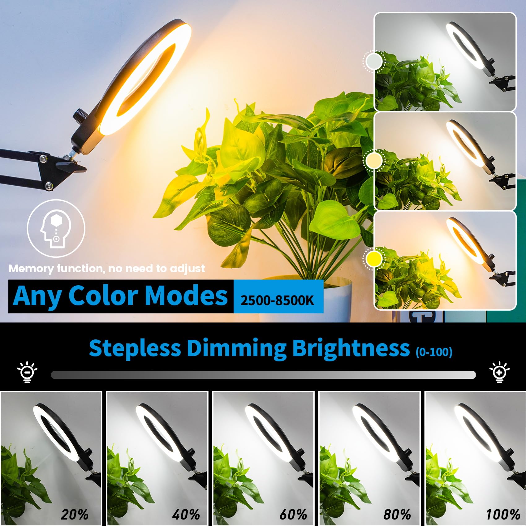 Kirkas 10X Magnifying Glass With Light And Stand, Any Color Mode And Stepless Brightness 2 In 1 Magnifying Desk Lamp With Clamp,