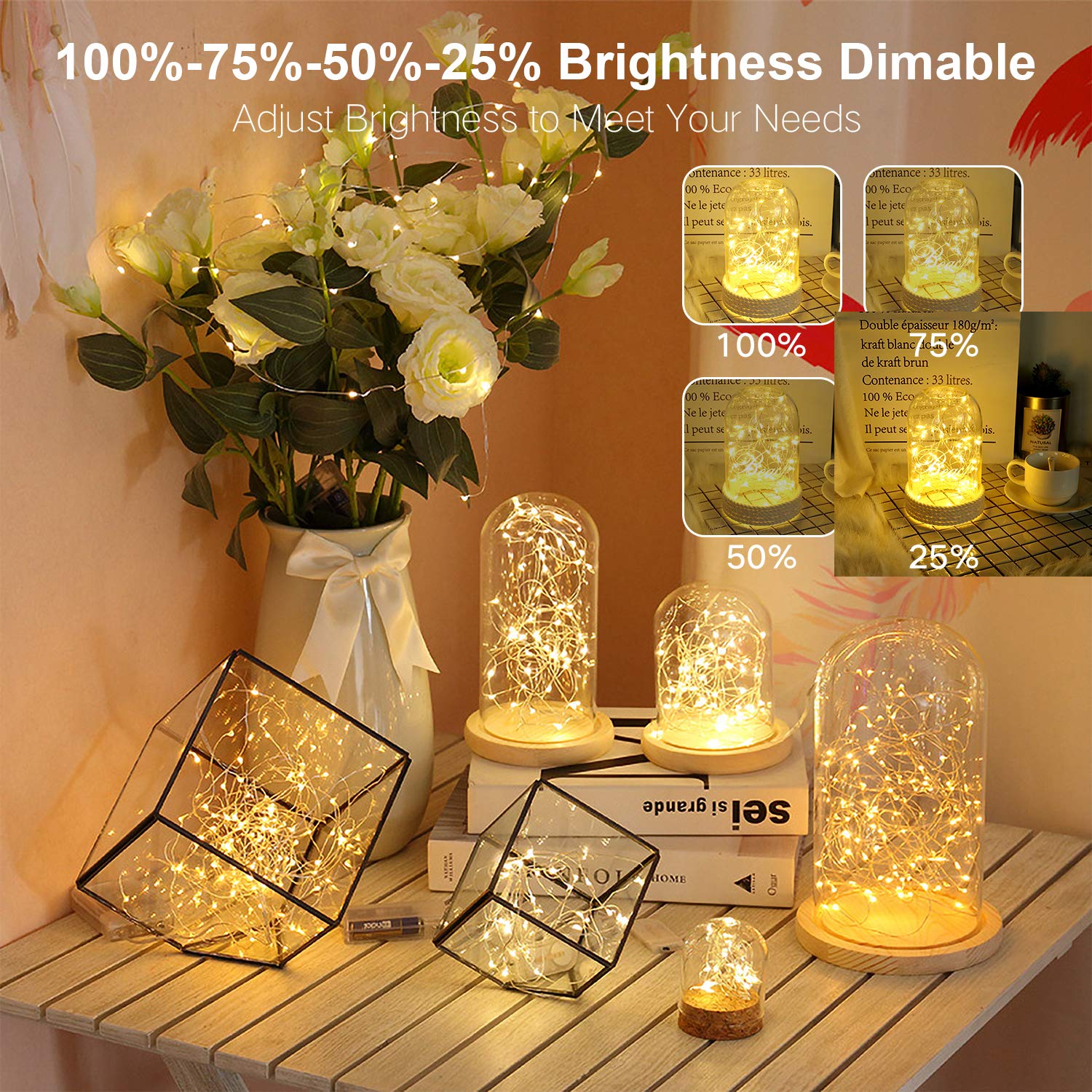 Ariceleo Battery Operated String Lights, 50 LEDs, 5M/16.4ft, Warm White & Multi-Color, Remote Control, Waterproof Plastic Shell, 2 Packs