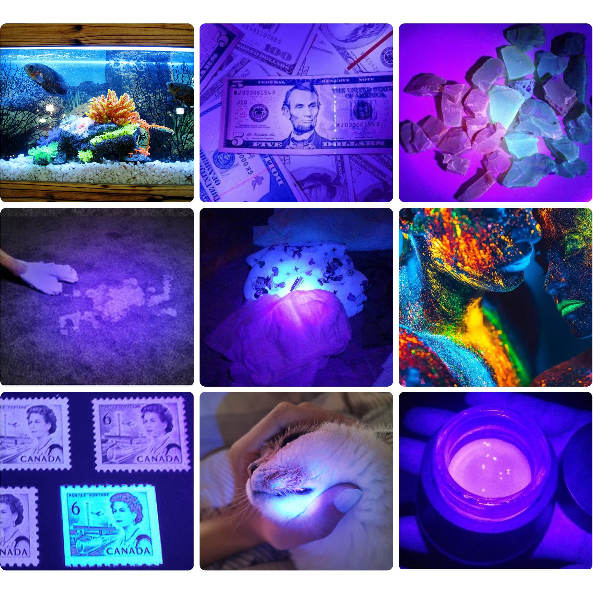 DARKBEAM UV 395nm Rechargeable Blacklight Flashlight - Portable Mini Handheld Torch for Pet Stains & Anti-Counterfeiting
