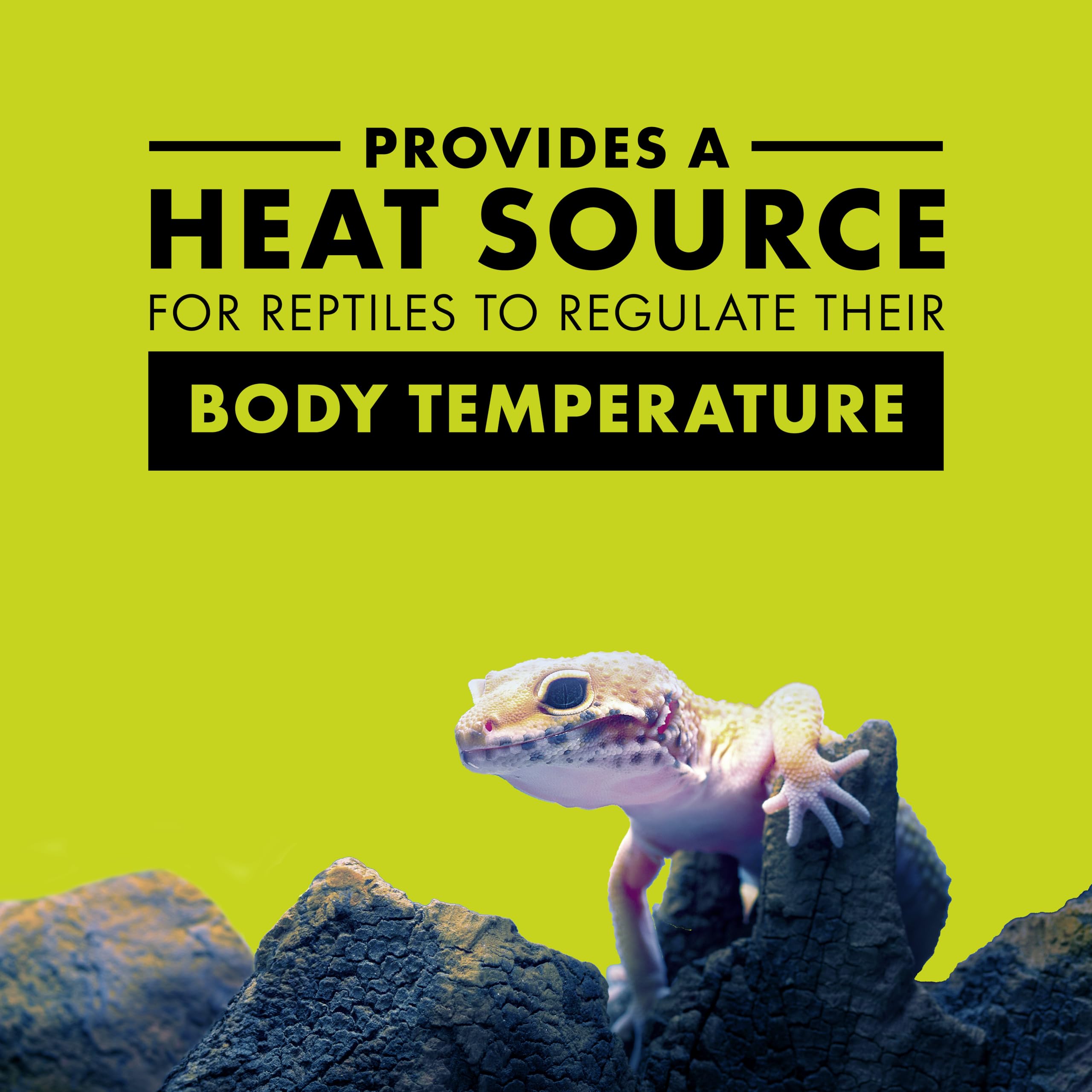 Zilla 100W Incandescent Bulb - Day Blue Glass Light For Home & Office Decor