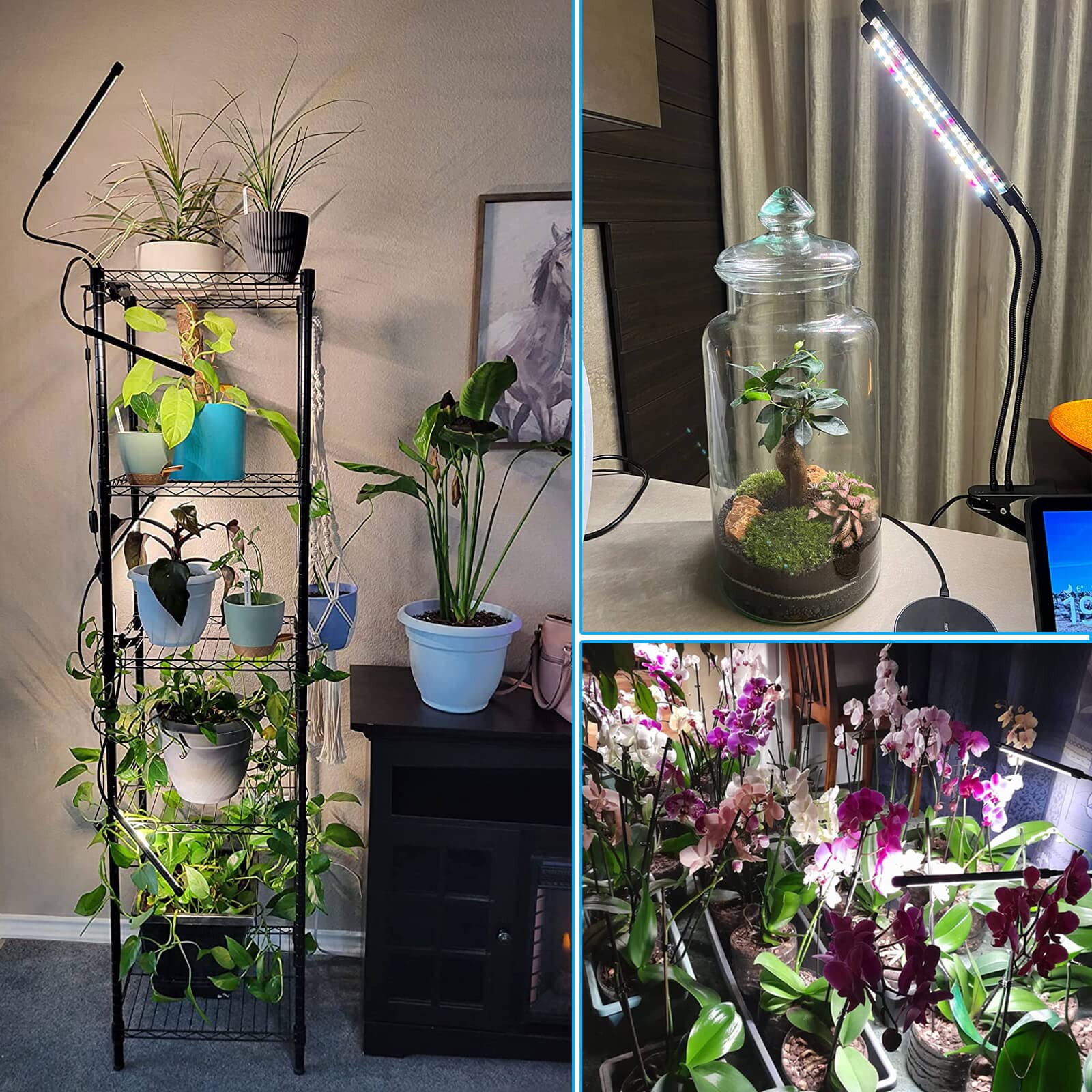 Grow Lights For Indoor Plants, Frgrow Led Plant Grow Lights, 3000K/5000K/660Nm Full Spectrum Plant Growing Lamps, Clip On Plant Lamp With White Red Leds, Timer Setting, Ul Listed Adapter 3 Head 2 Pack