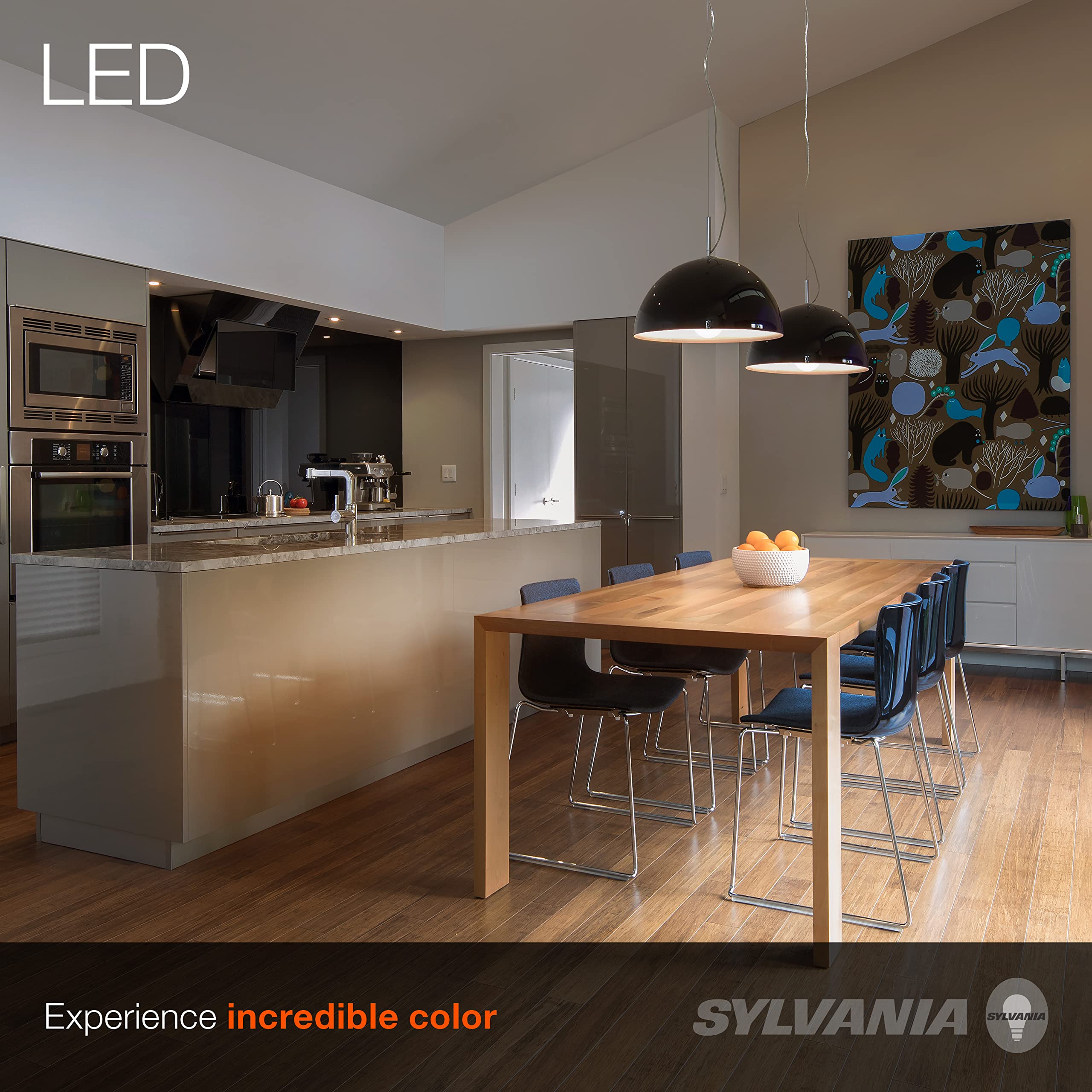 LEDVANCE SYLVANIA A19 LED Light Bulb, 12W Dimmable, 1100 Lumens, Soft White, 1 Pack, Model 74685
