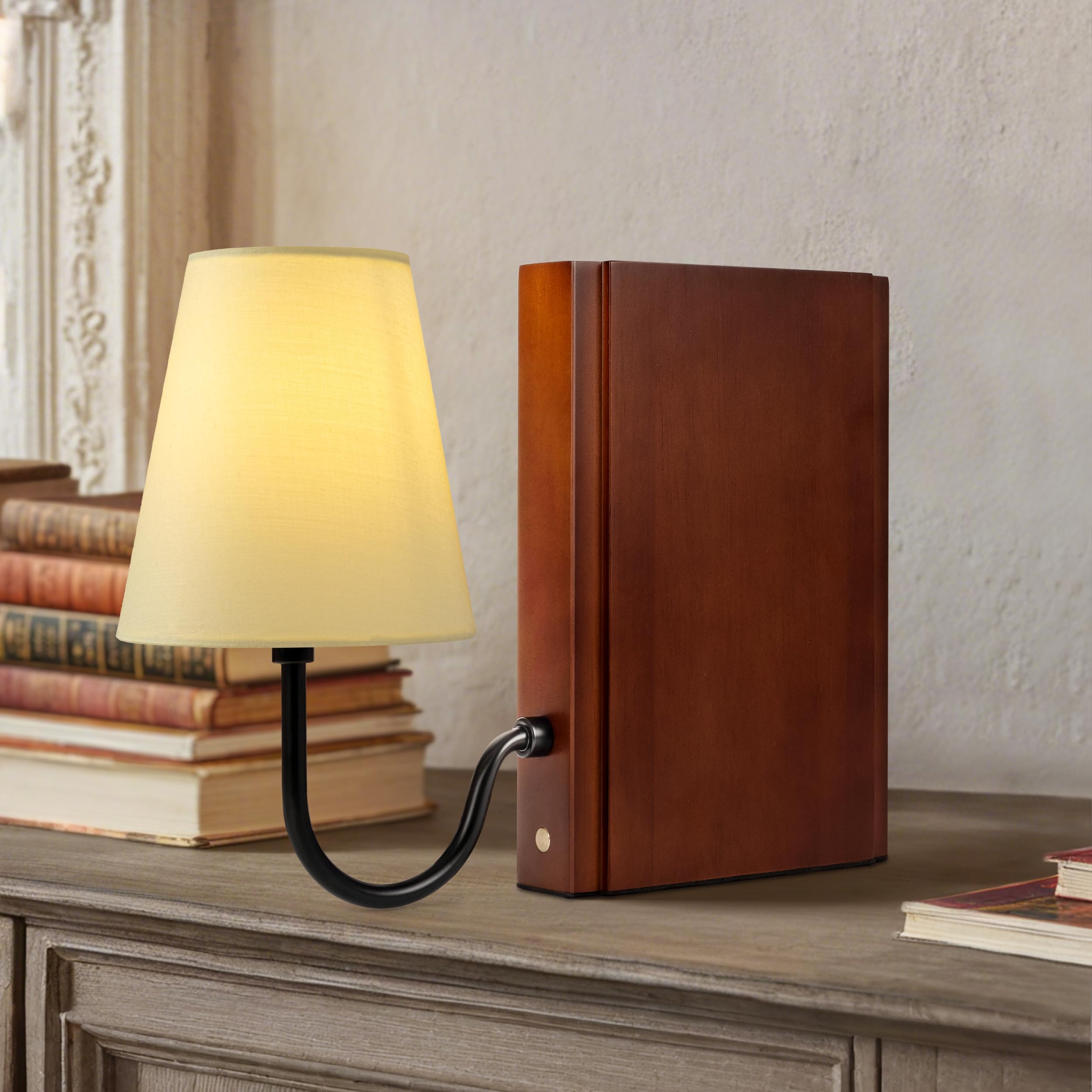 AELS Wooden Bookshelf Lamp, 3-Color Dimmable Touch Control, Plug-in Model, Dark Brown, Model SL0964