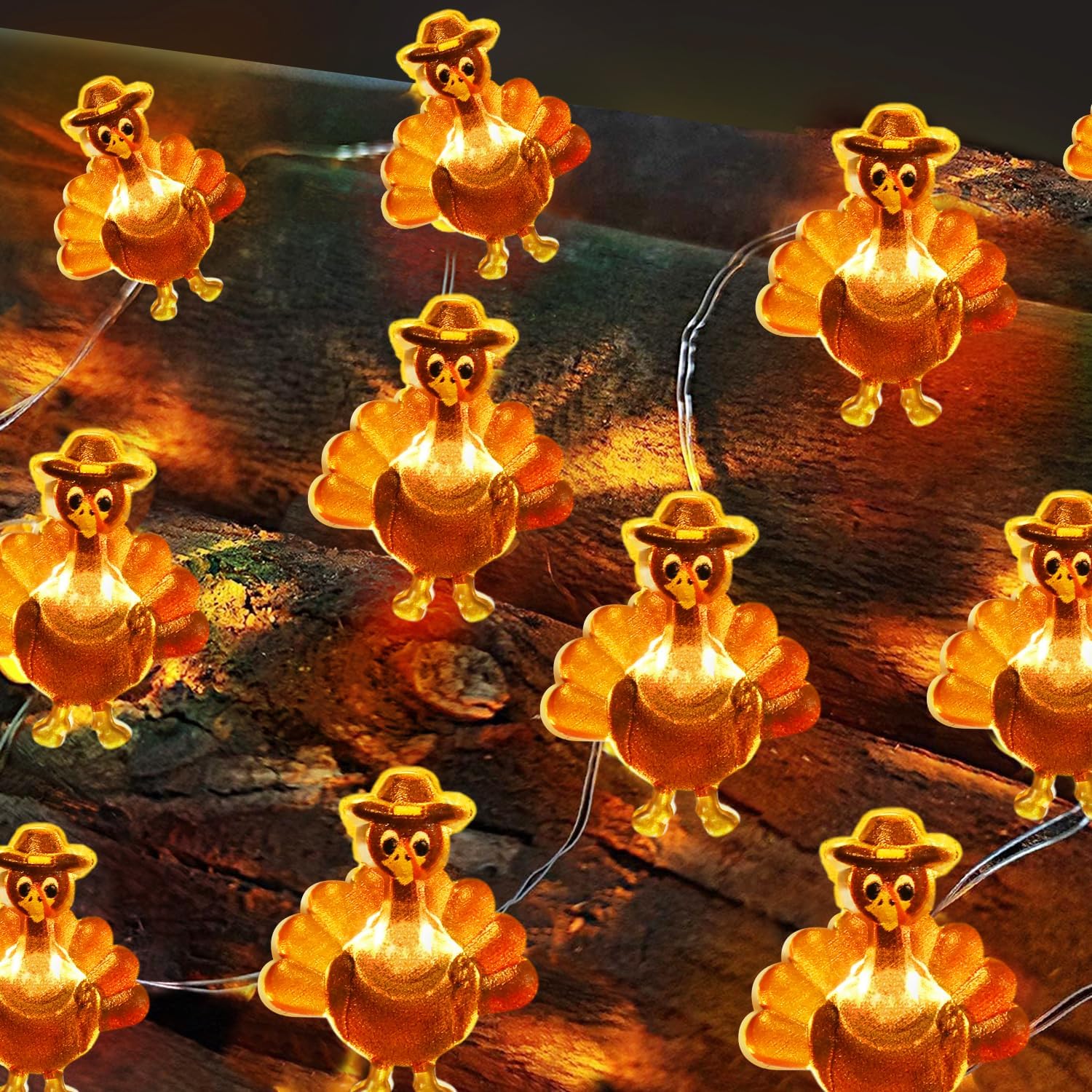 Sakayo [Timer] Fall Thanksgiving Turkey Lights Decorations, 10FT 30LED Copper Wire Fairy Lights Thanksgiving Turkey Decor, Thank