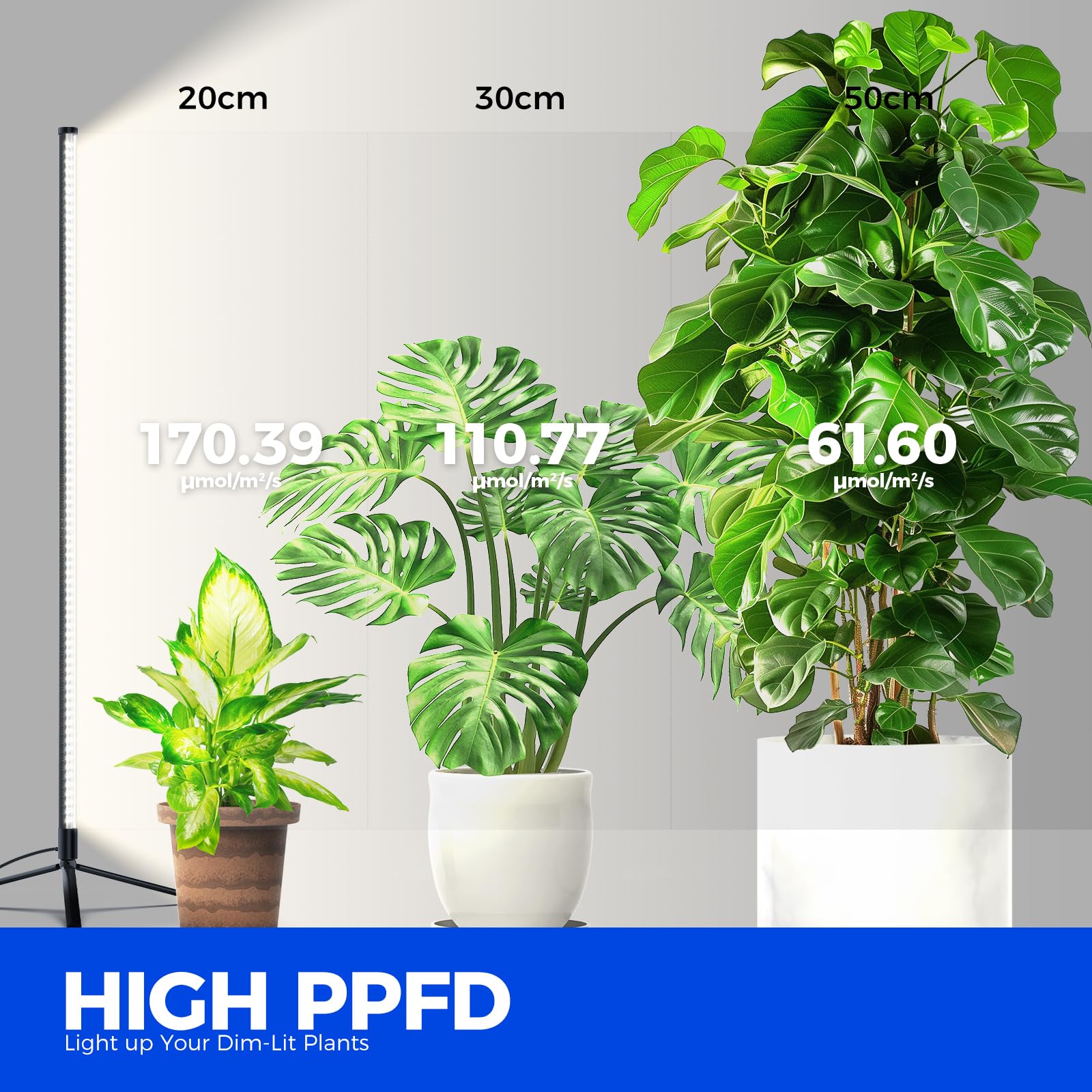 Barrina T10 Standing Grow Light, 42W Full Spectrum LED, 4FT Height, Daylight White, Tripod Stand