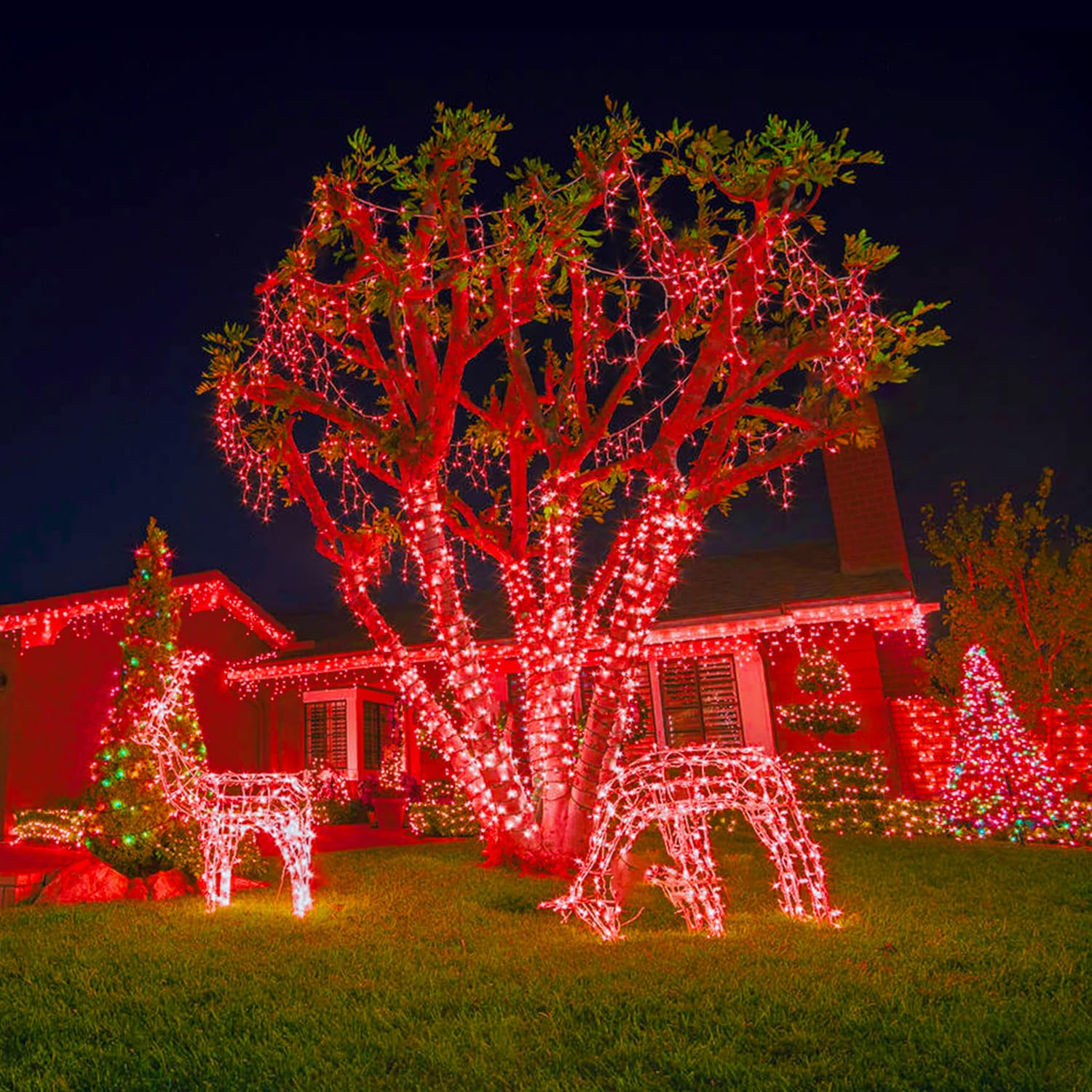 JMEXSUSS 200 LED Red String Lights, 66ft Expandable, 8 Modes, Indoor Outdoor Decor, Plastic, Model EXS-S-0200