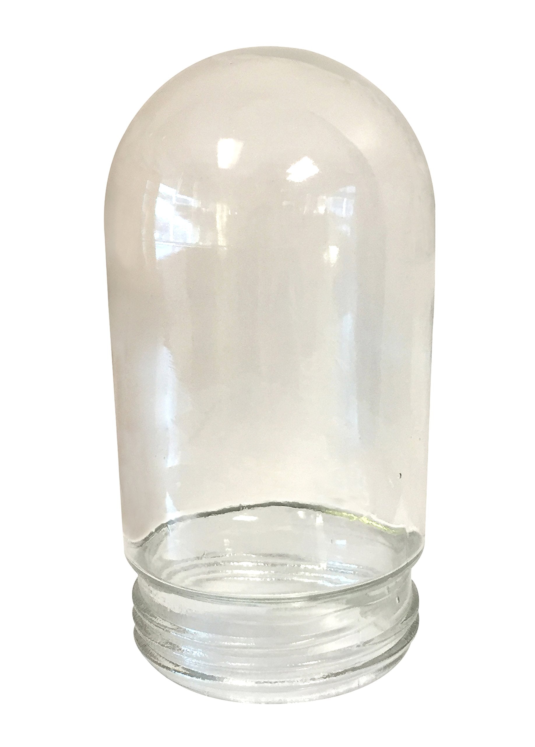 Canarm BL14CWS All Weather Light, 1-Bulb Ceiling/Wall Mount, Clear Glass Globe, Medium Size, Gray