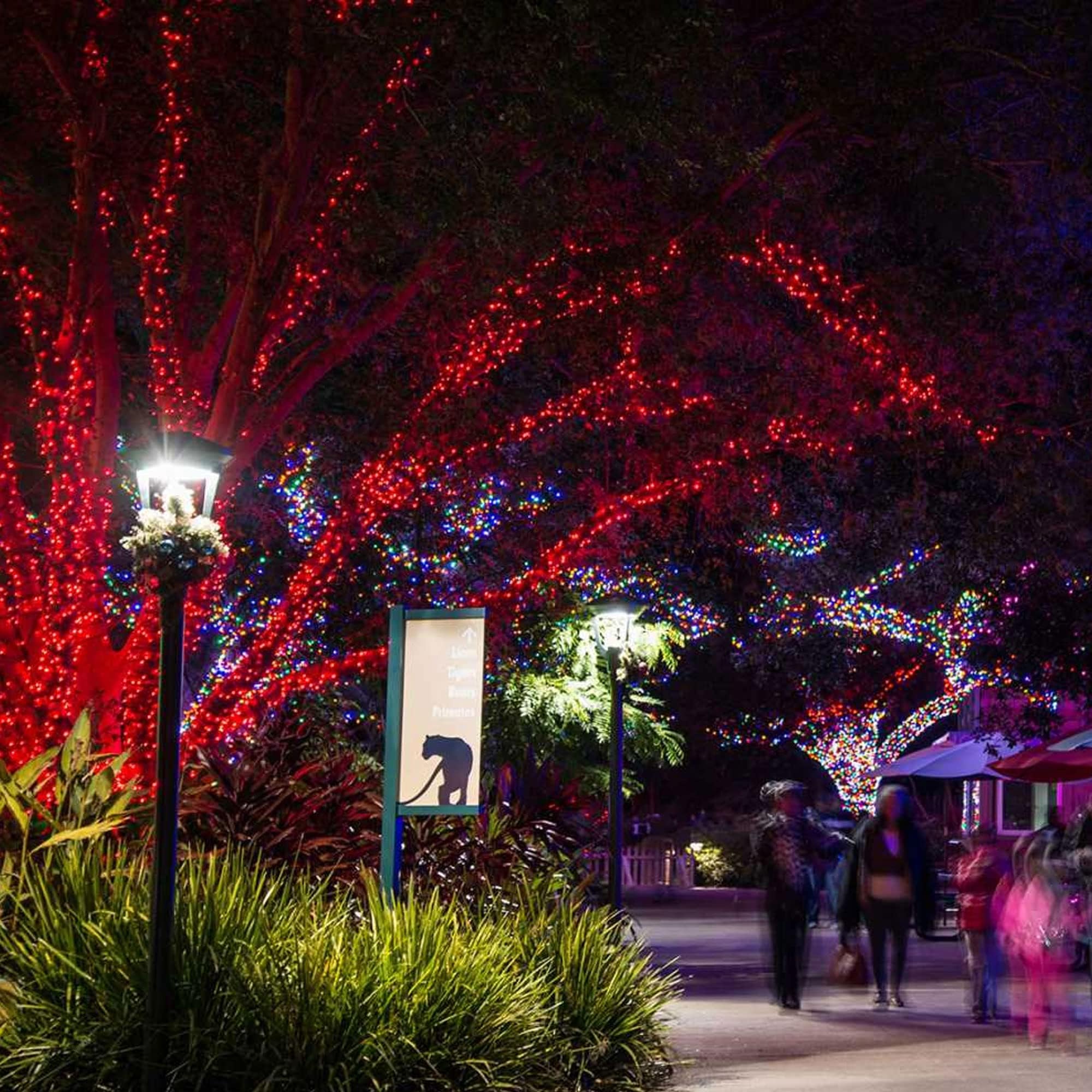 TW SHINE Christmas Lights, 200 LED, 66FT Outdoor Waterproof, 8 Modes, Red, Model HB-200COI