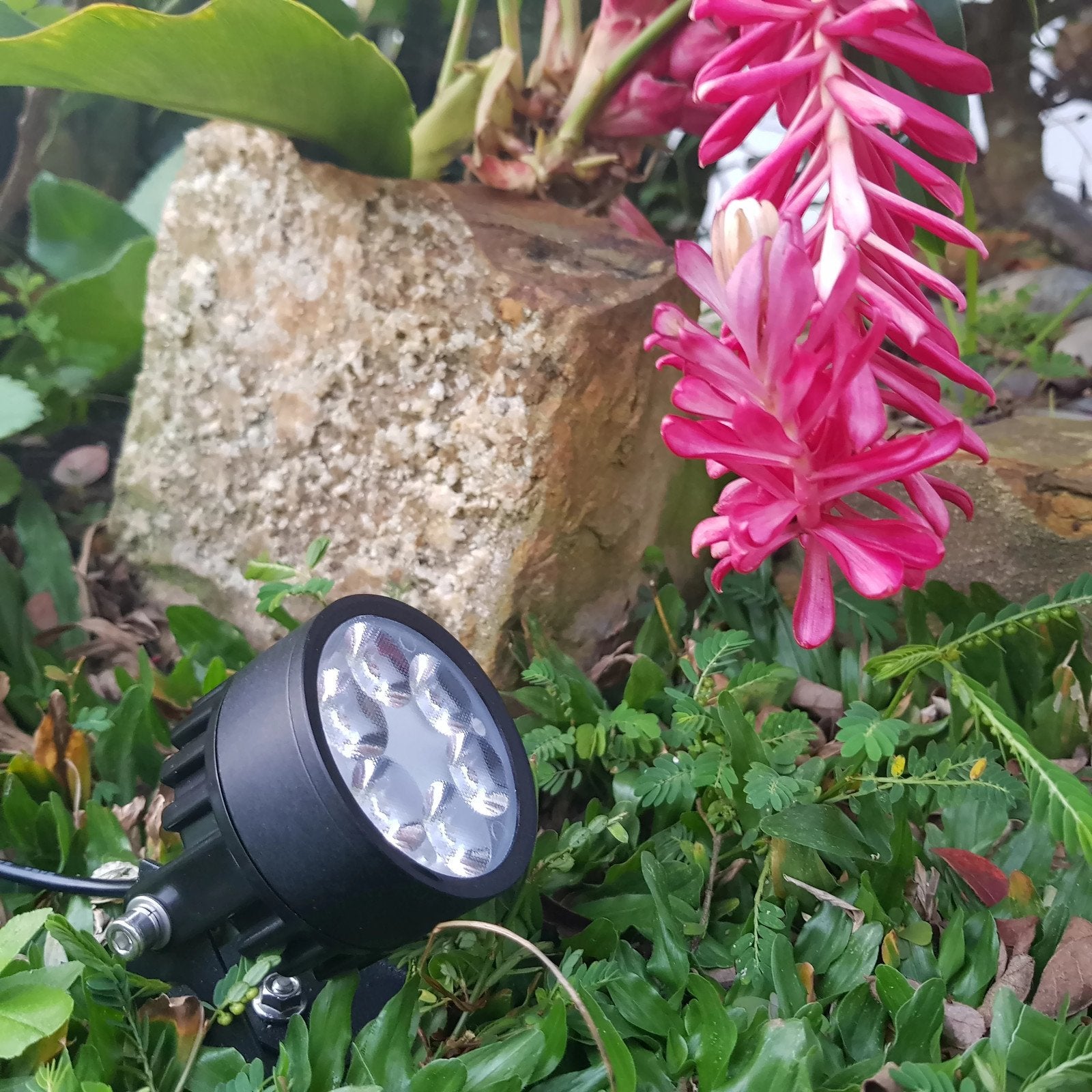 Solar Light Mart Legacy Mini 50X Solar-Powered LED Spotlight, Waterproof, Warm White, Black Finish