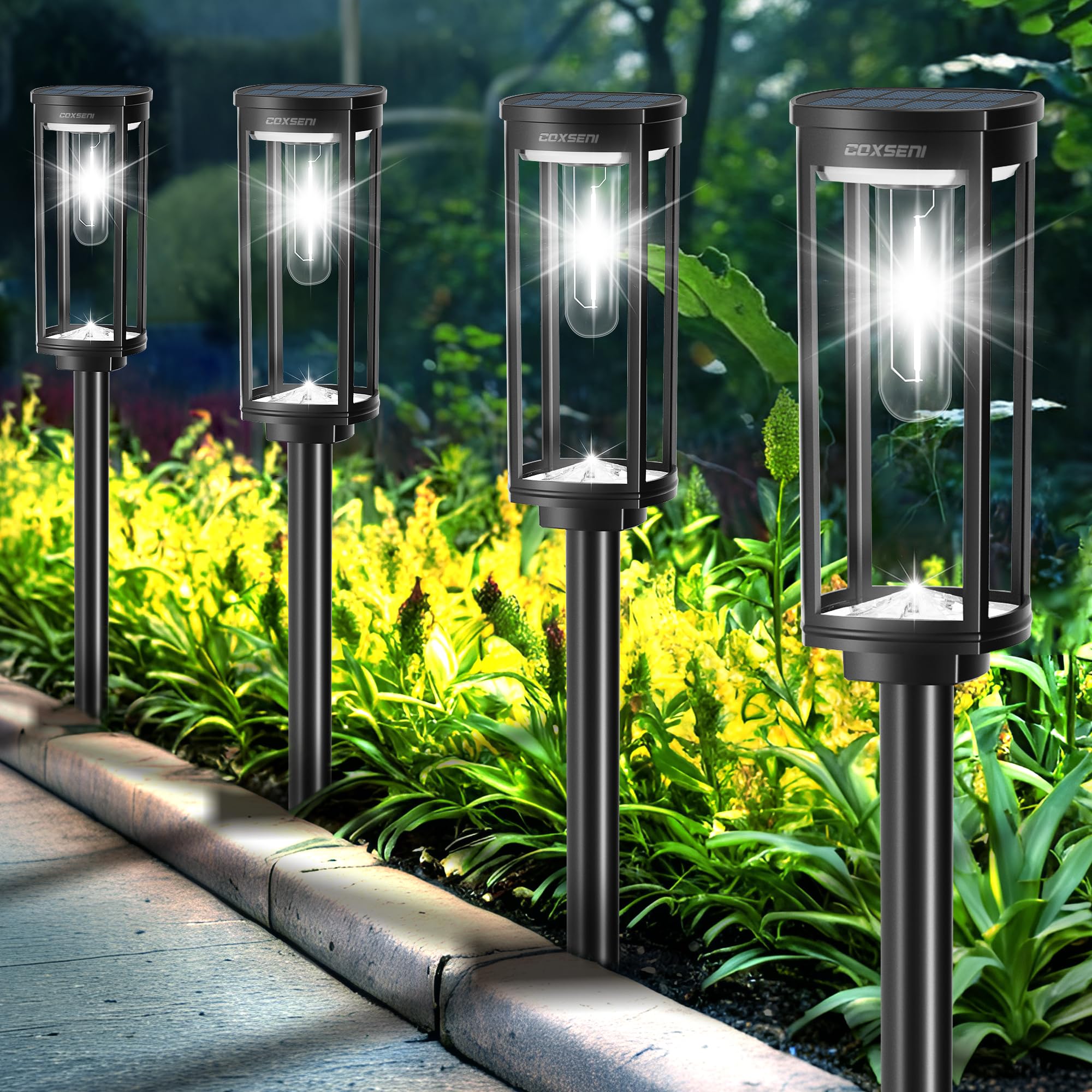 COXSENI Solar Path Lights Outdoor 8 Pack, Bright Solar Pathway Lights Outside Waterproof, Solar Powered Landscape Lights for Wal