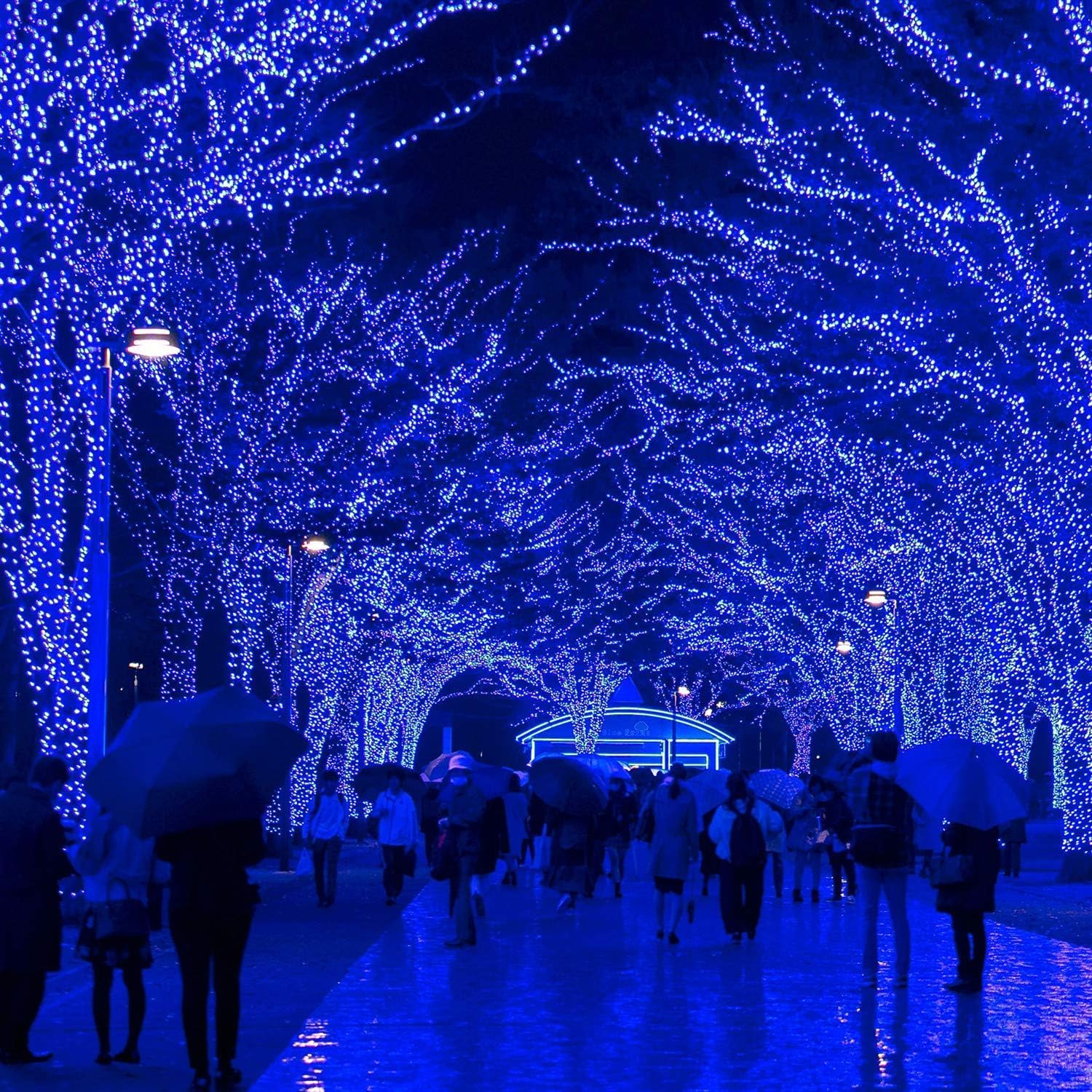 Vtechology 170Ft 500Led Blue Christmas Lights Plug In,Waterproof Christmas Tree Lights,8 Modes String Lights Indoor Outdoor For Halloween Tree Party Bedroom Garden Decor