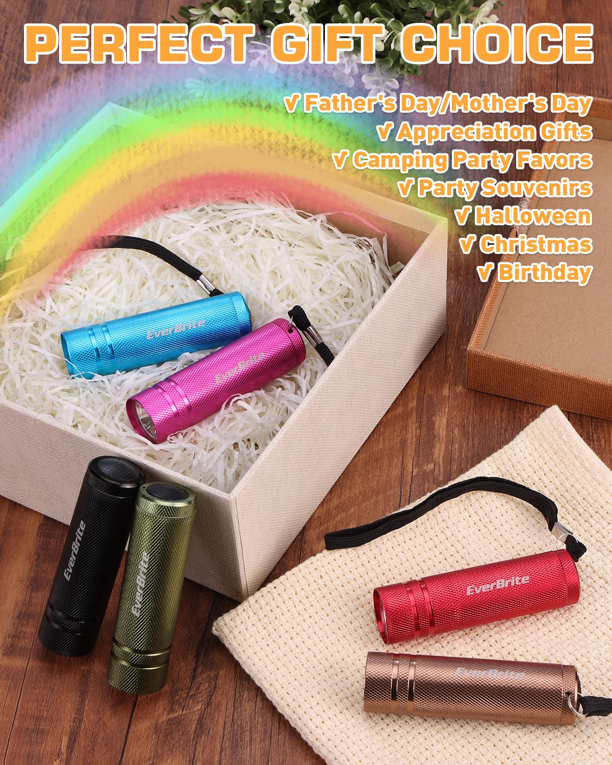 EverBrite Mini Flashlight Set - 6-Pack Aluminum LED Torches, Multicolor with Lanyards, Batteries Included for Camping & Gifts