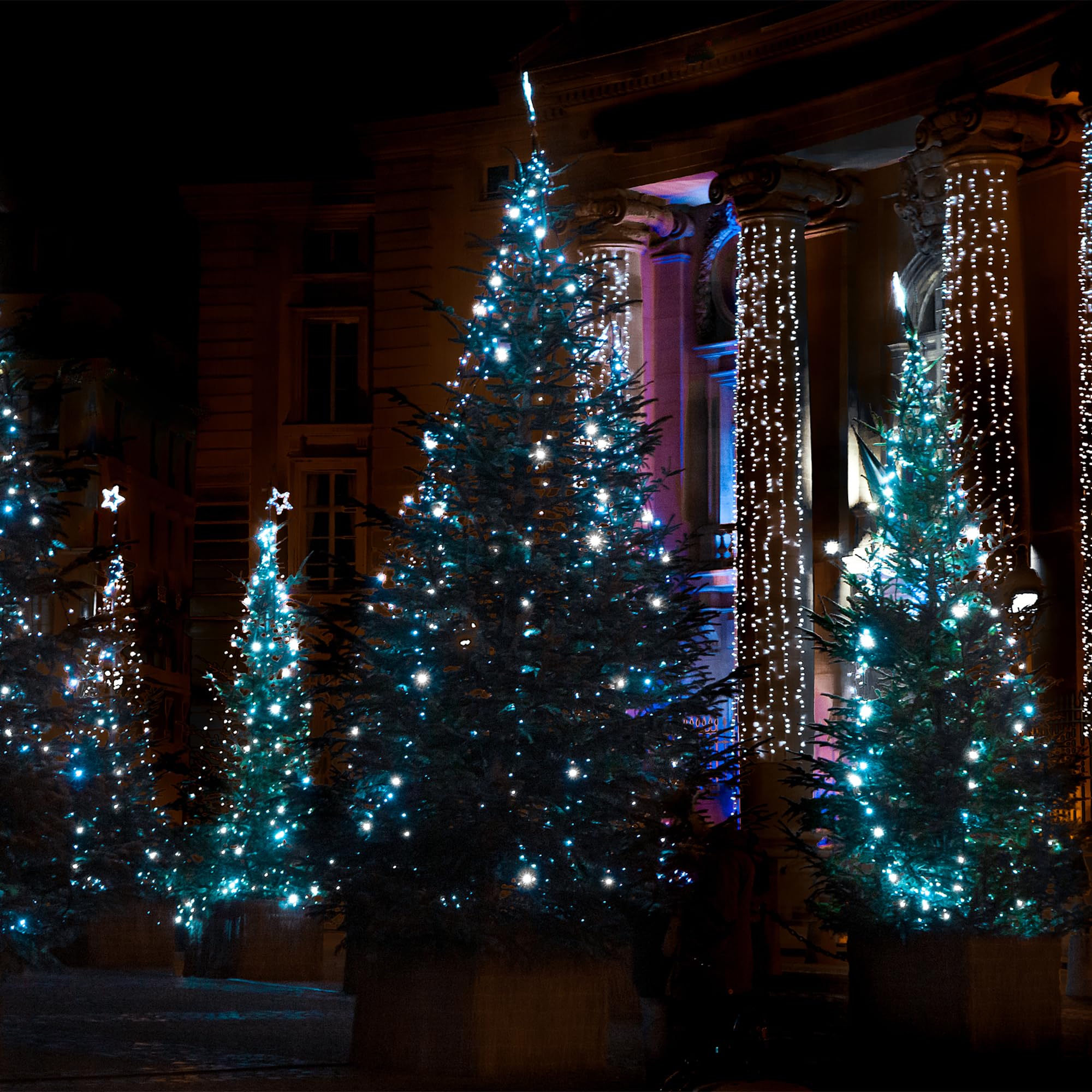 Flechllary 100 LED Christmas Lights, 39FT Cold White Indoor/Outdoor String Lights with 8 Modes, Timer, Waterproof, Model TZWG