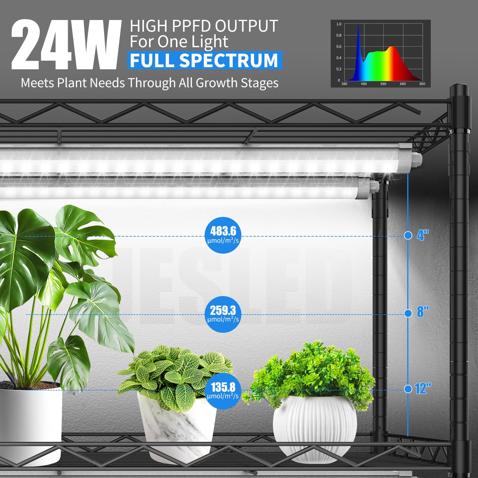 JESLED Indoor Greenhouse with Grow Light, 5000K LED, 23.6x13.8x59in, Black, Model JD0519BB, Built-in Timer & Therm