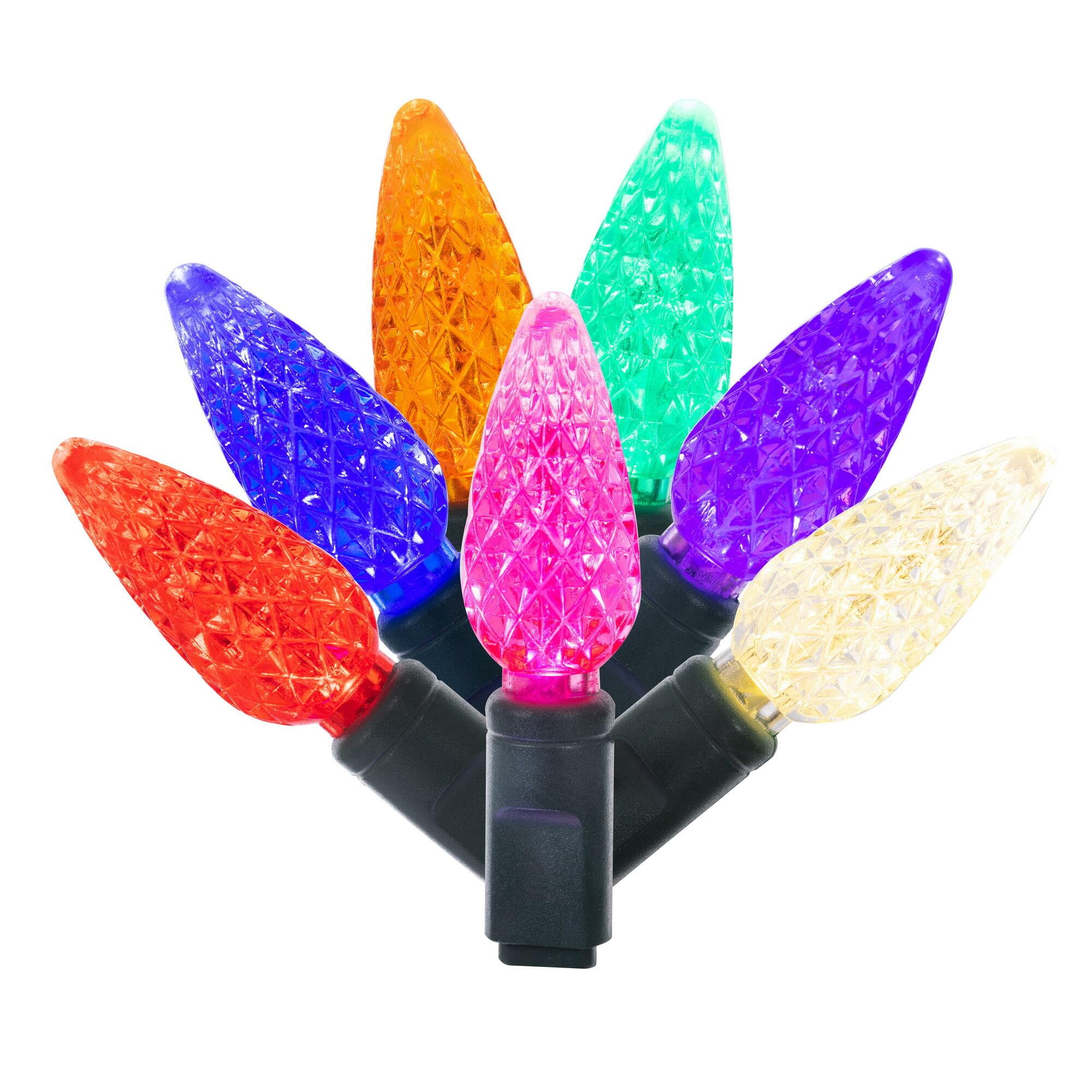 Vickerman 100 Light C6 LED Light Set Multi-Colored Lights on Green Wire