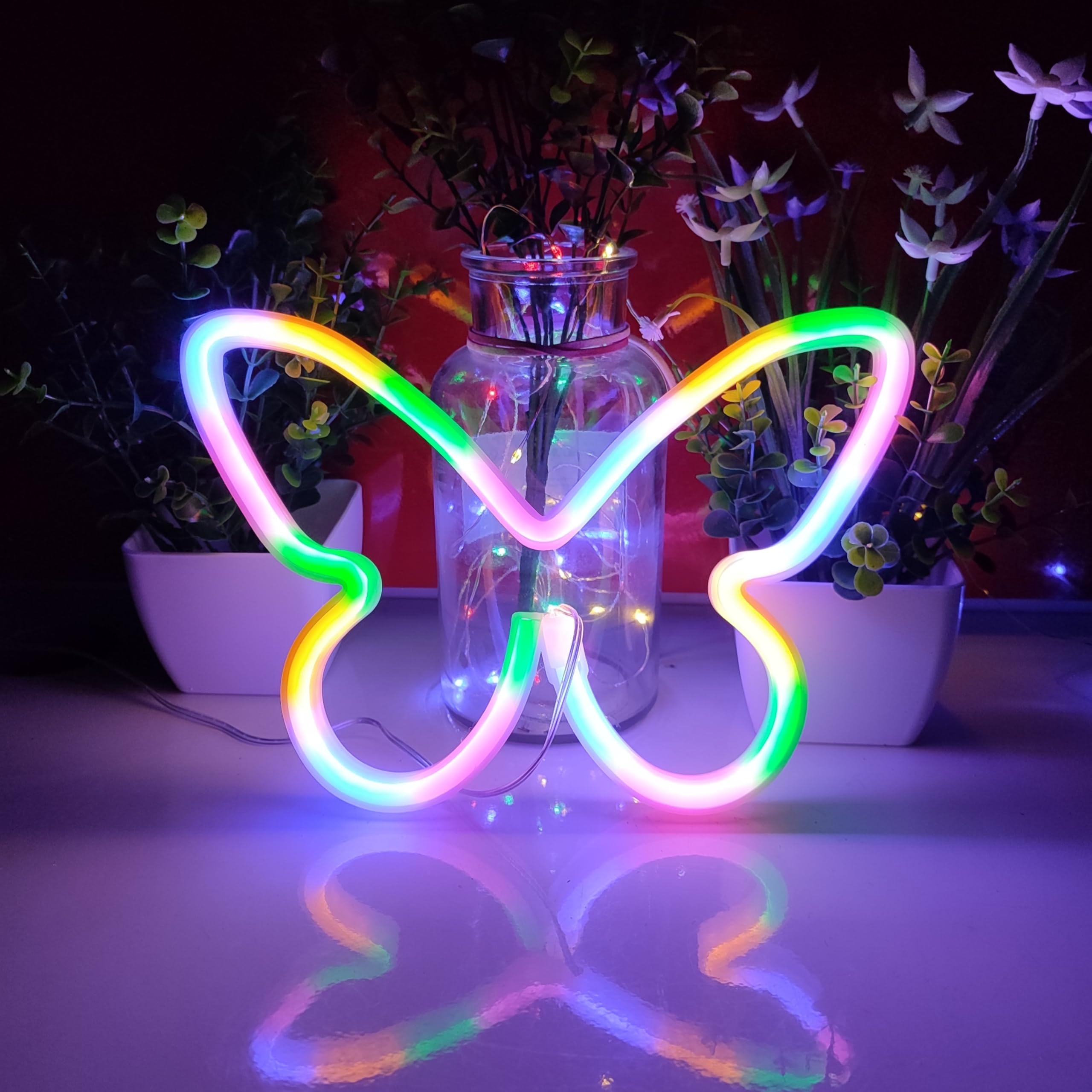 JYWJ Butterfly Neon Sign, USB & 3-AA Battery Powered, LED Table Decor, Kids Bedroom & Party Supplies, Model JY-BF-CL01, Color