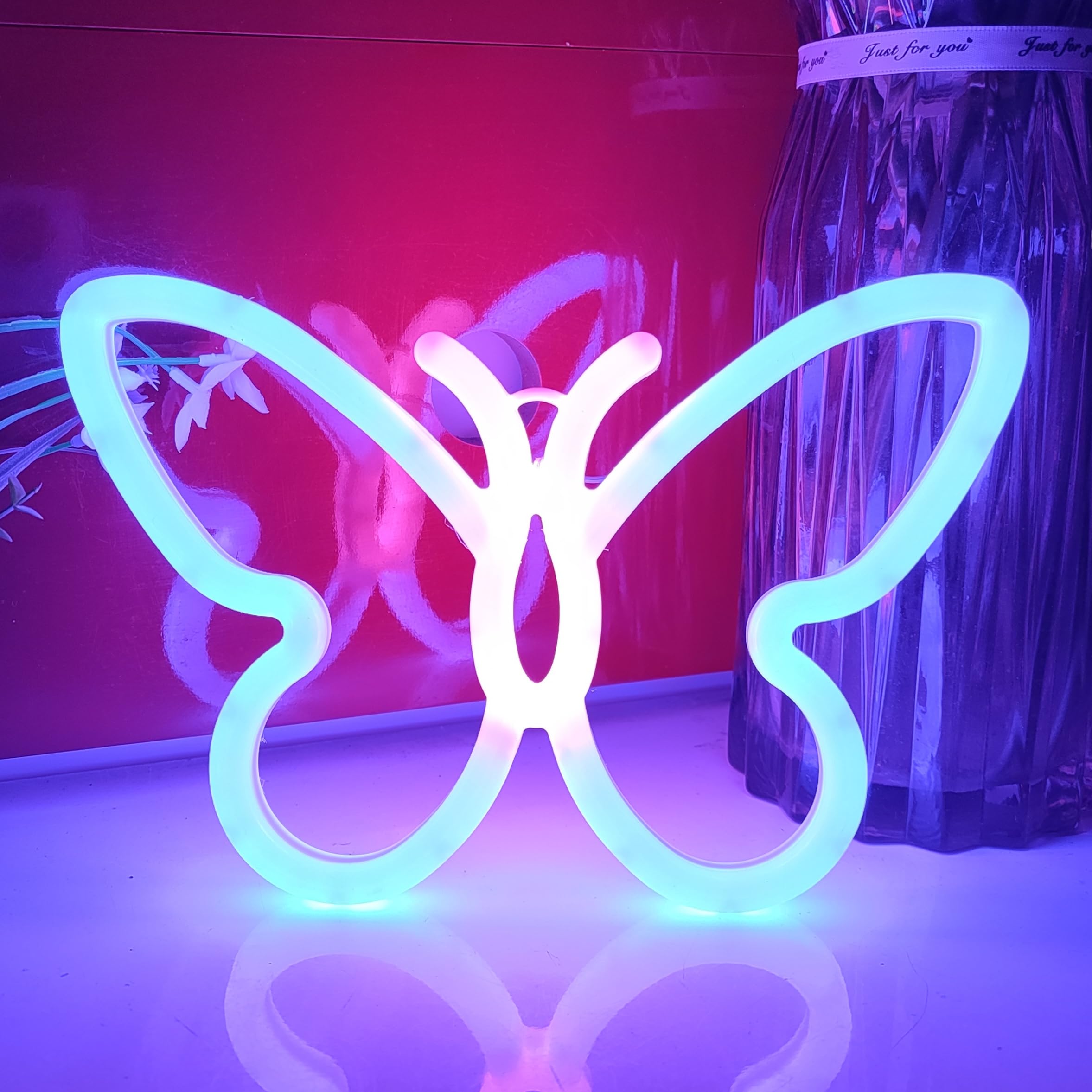 JYWJ Double Sided Neon Sign, USB Powered, Adjustable Brightness, 7.87inx9.84in, Blue+Pink, Model JY-NEON-001