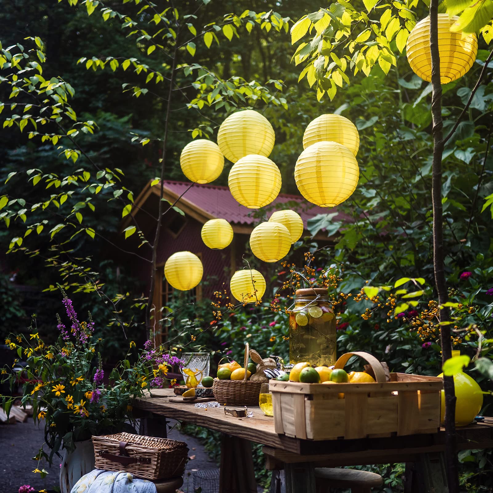 Avoseta Yellow Paper Lanterns - 25 Piece Set - Party Decorations for Birthdays, Weddings, and Special Occasions