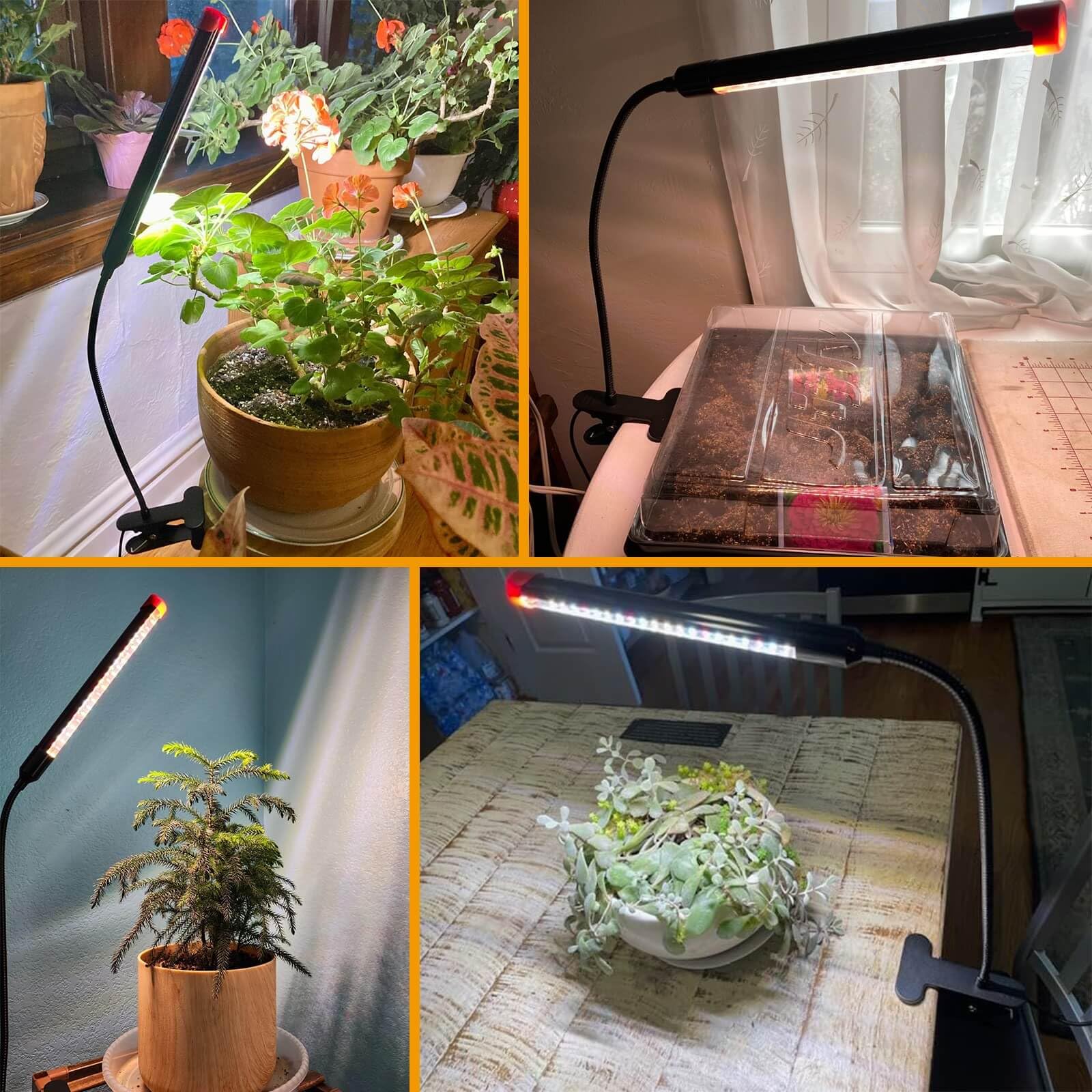 Jinhongto Upgraded Plant Light, 1000 Lumen Clip On Grow Light 1-Head With 4/8/12H Timer Function, Grow Lights For Indoor Plants Full Spectrum, Bright Plant Growing Lamp With 42Pcs Leds