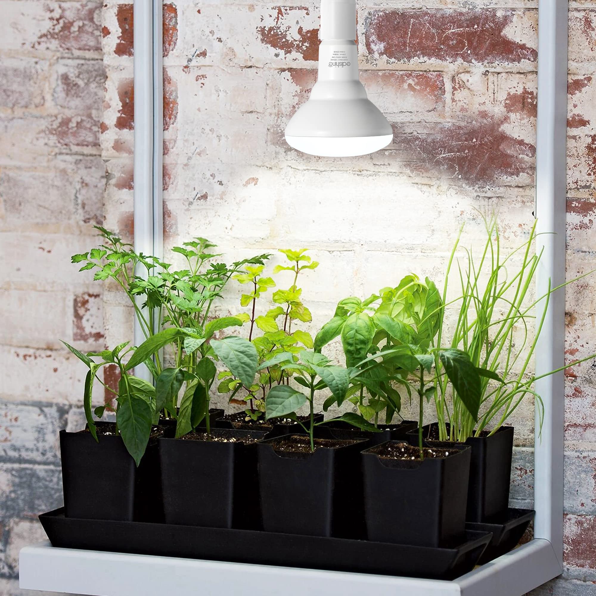 EDISHINE 2-Pack Full Spectrum LED Grow Light Bulb, 11W Plant Light for Indoor Plants, Seedlings, Greenhouse, Hydroponic, E26 Bas