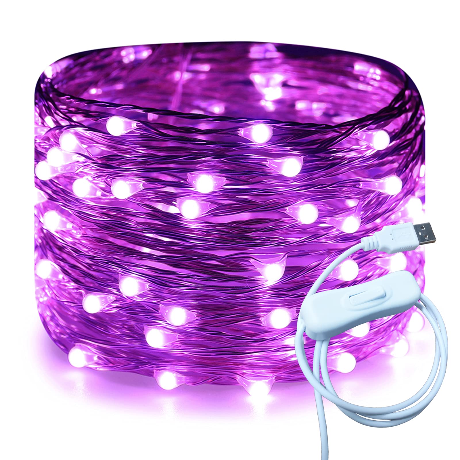 RUICHEN Silver Wire 33 Ft 100 LED USB Fairy String Lights with On/Off Switch (Purple)