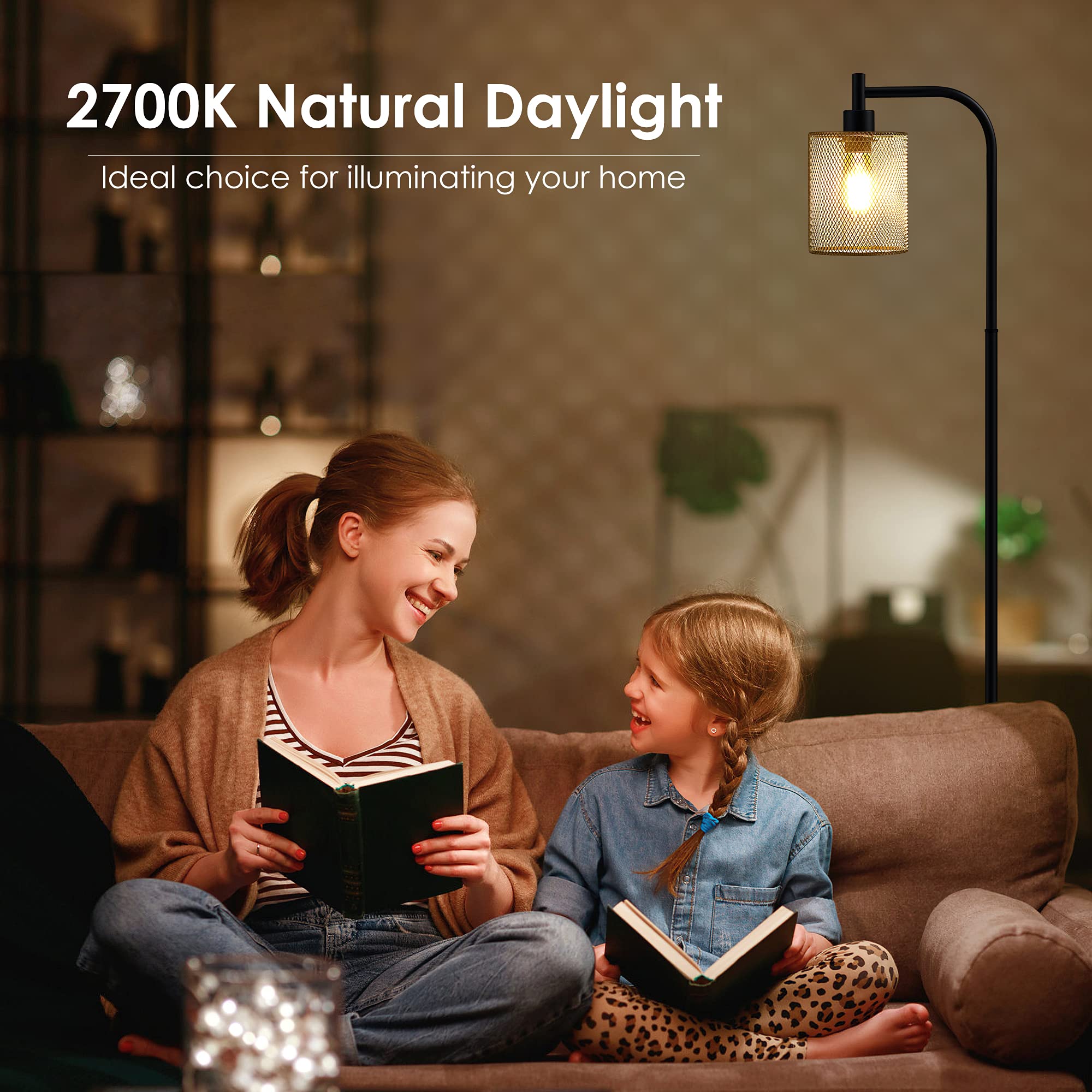 BoostArea Industrial Floor Lamp, Iron Mesh Shade, 6W LED, Medium, Black