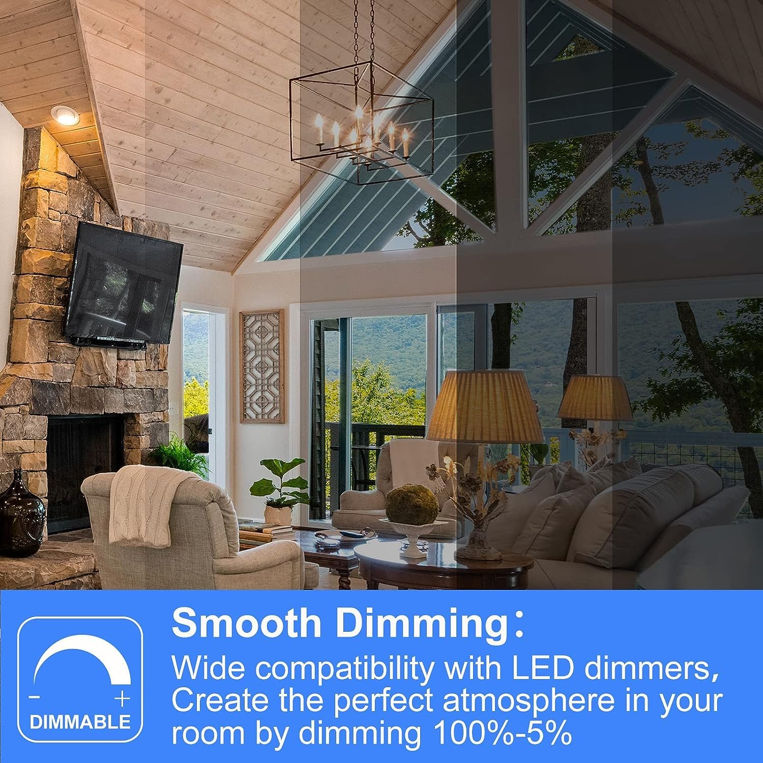 Energetic Led Candelabra Bulbs, Dimmable 60W Equivalent, Soft White 2700K, E12 Base, Glass, 24 Pack
