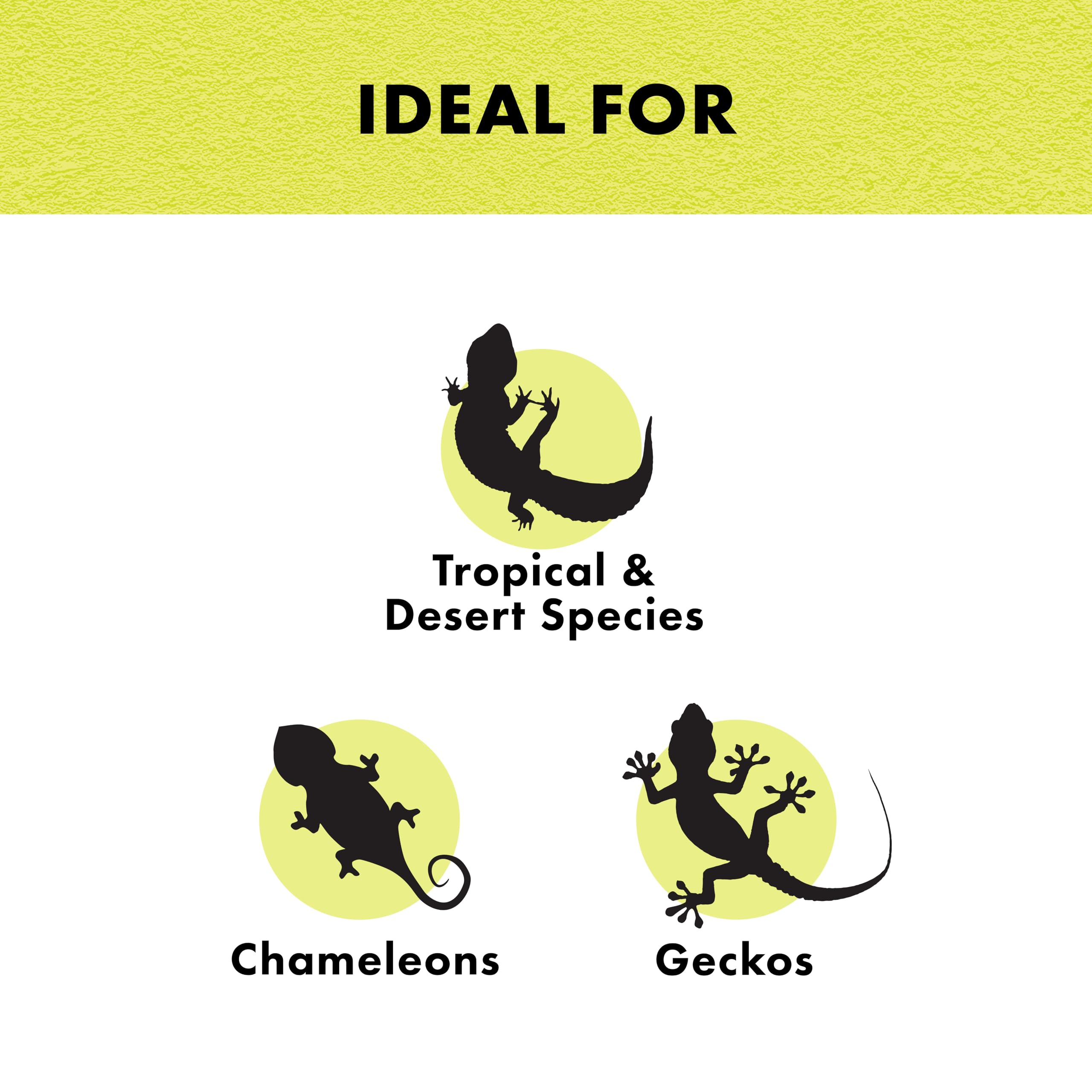 Zilla 100W Incandescent Bulb - Day Blue Glass Light For Home & Office Decor