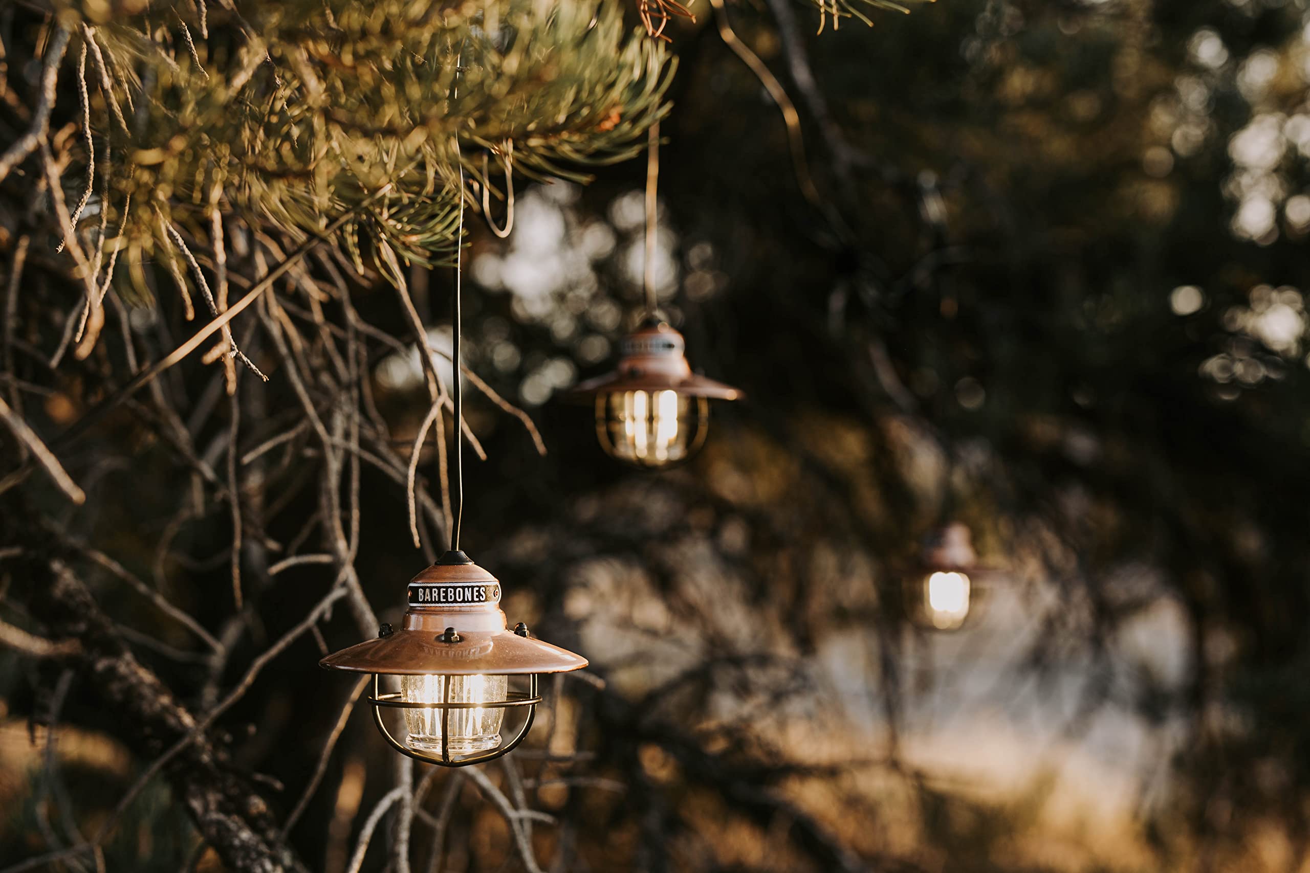 Barebones Edison Pendant String Lights - Copper - 3 LED Bulbs - 10-Foot Cord - Energy-Efficient for Outdoor/Indoor Use