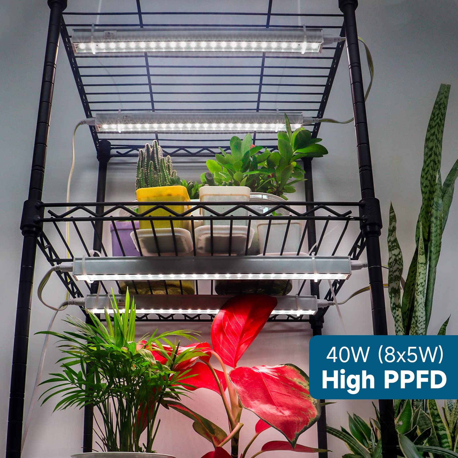 Barrina Grow Lights For Indoor Plants, 5000K White Full Spectrum Led Grow Light, 1Ft Plant Grow Light, Led Grow Light Bulbs, T5