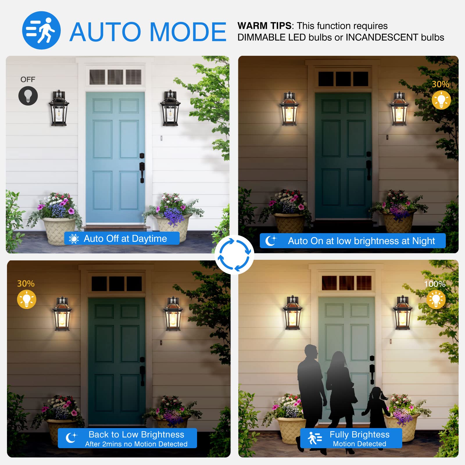 VIANIS Motion Sensor Outdoor Wall Lantern, Black Aluminum, Waterproof, Dusk to Dawn, 1-Pack, Model V81091KG