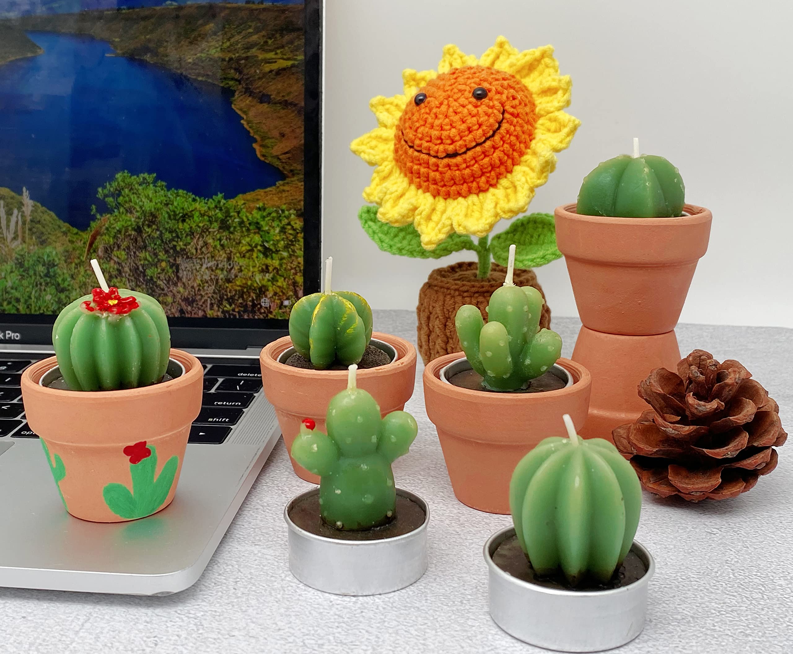 Juans Moment 12pcs Cactus Tealight Candles Paraffin Wax Green VES1690 Bridal Shower Gifts Party Decorations