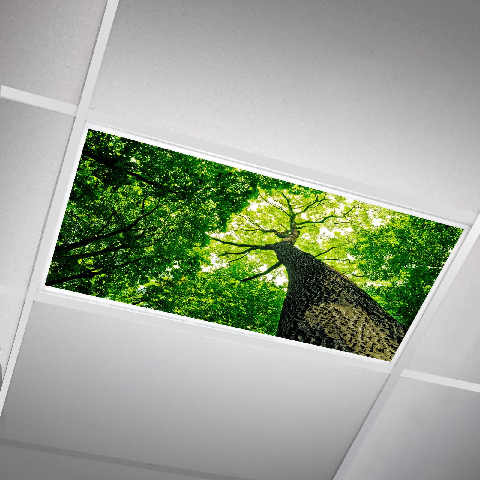 SCWISOAS Fluorescent Light Covers - Magnetic 2ft x 4ft Cloud Design for Classroom, Home, Office - Towering Trees Color