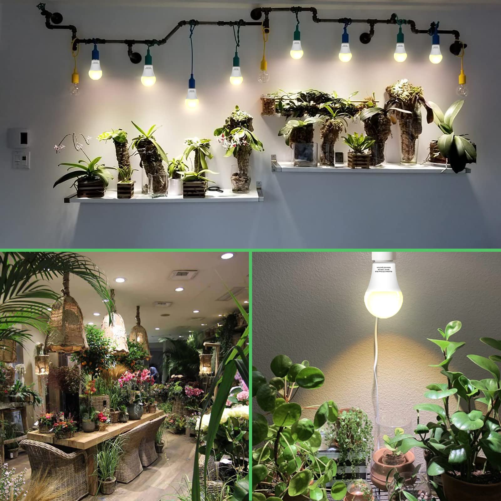 Wiyifada 3 Pack Full Spectrum Grow Light Bulbs, E26 9W Replace 100W, Indoor Plant Lighting