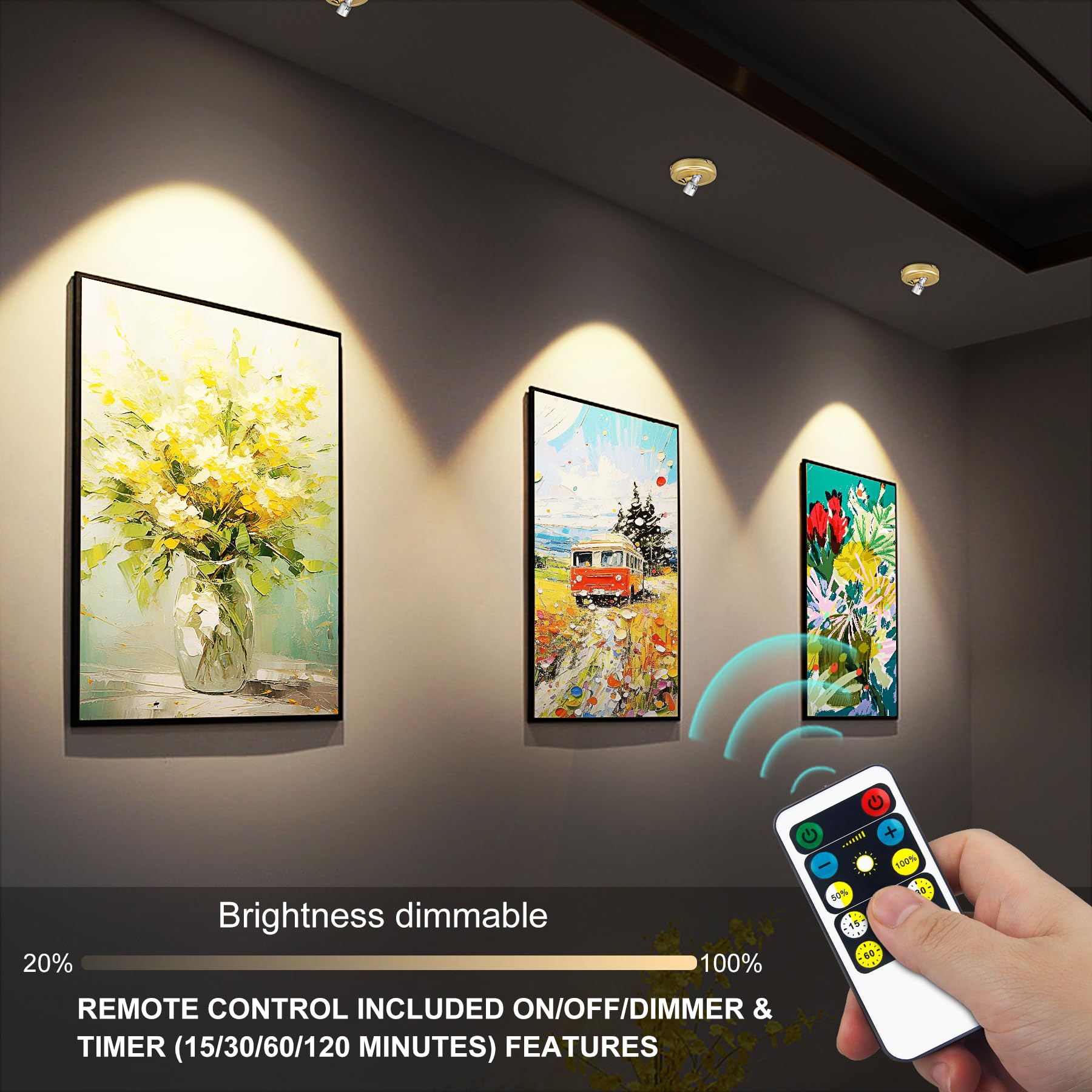 HEAGEERO Wireless Spot Lights, Remote Control Accent Lighting, Rotatable for Art, Wall, Rose Gold, Model HJOR020
