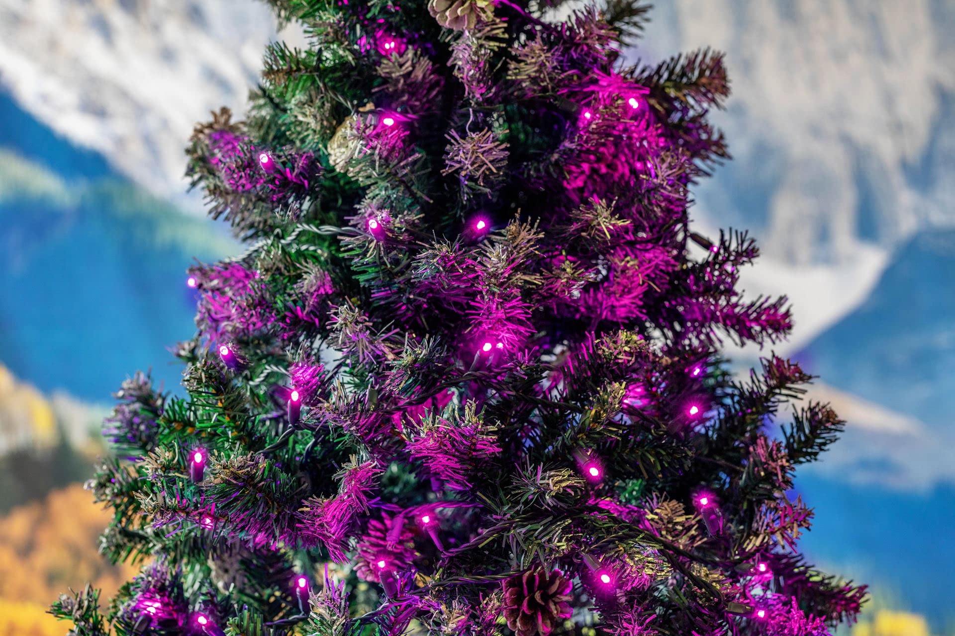 Novelty Lights 25ft Pink LED Christmas String Lights, 50 Count, Dimmable, Connectable, Copper Wire, Model MRD-25B-2