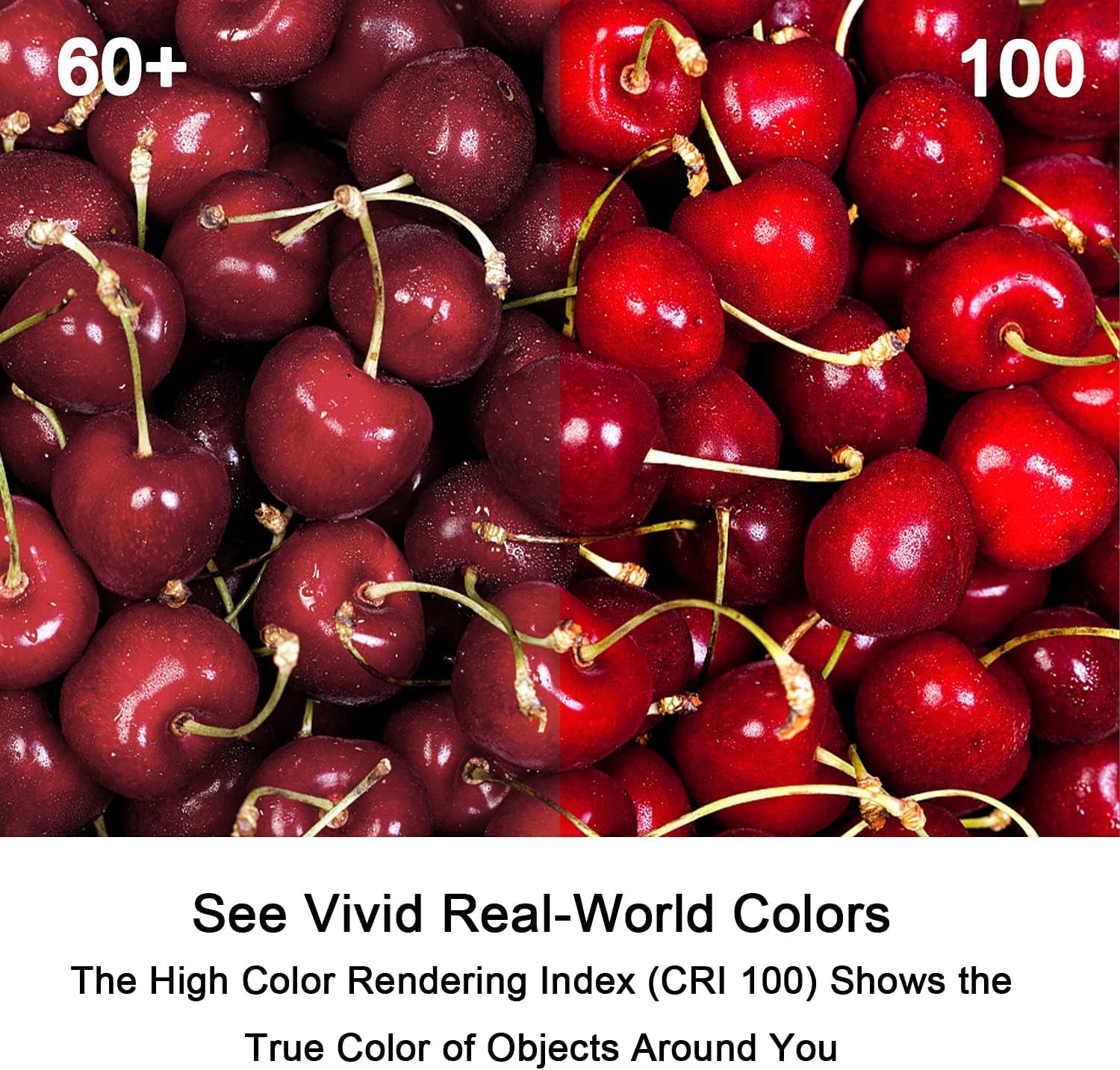 E11 Bulb, Jde11 120V 100W Halogen Light Bulbs, T4 E11 Mini Candelabra Base, Dimmable 2700K Warm White, 4Pcs E11 Light Bulb For C