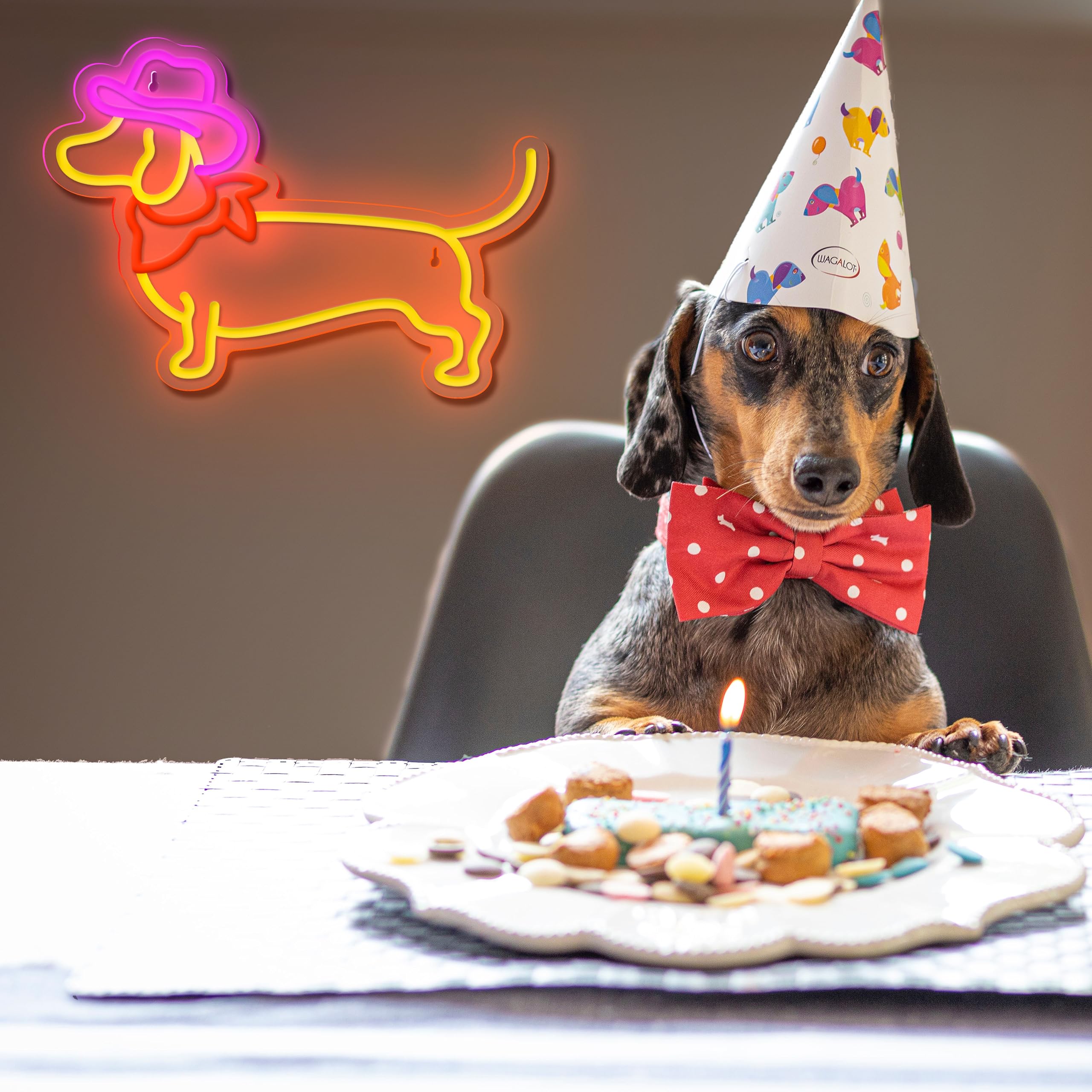 Dachshund Neon Sign Dog Neon Signs for Wall Decor Cute Puppy with Cowboy Hat Led Light Sign for Pet Shop Bedroom Wall Home Party