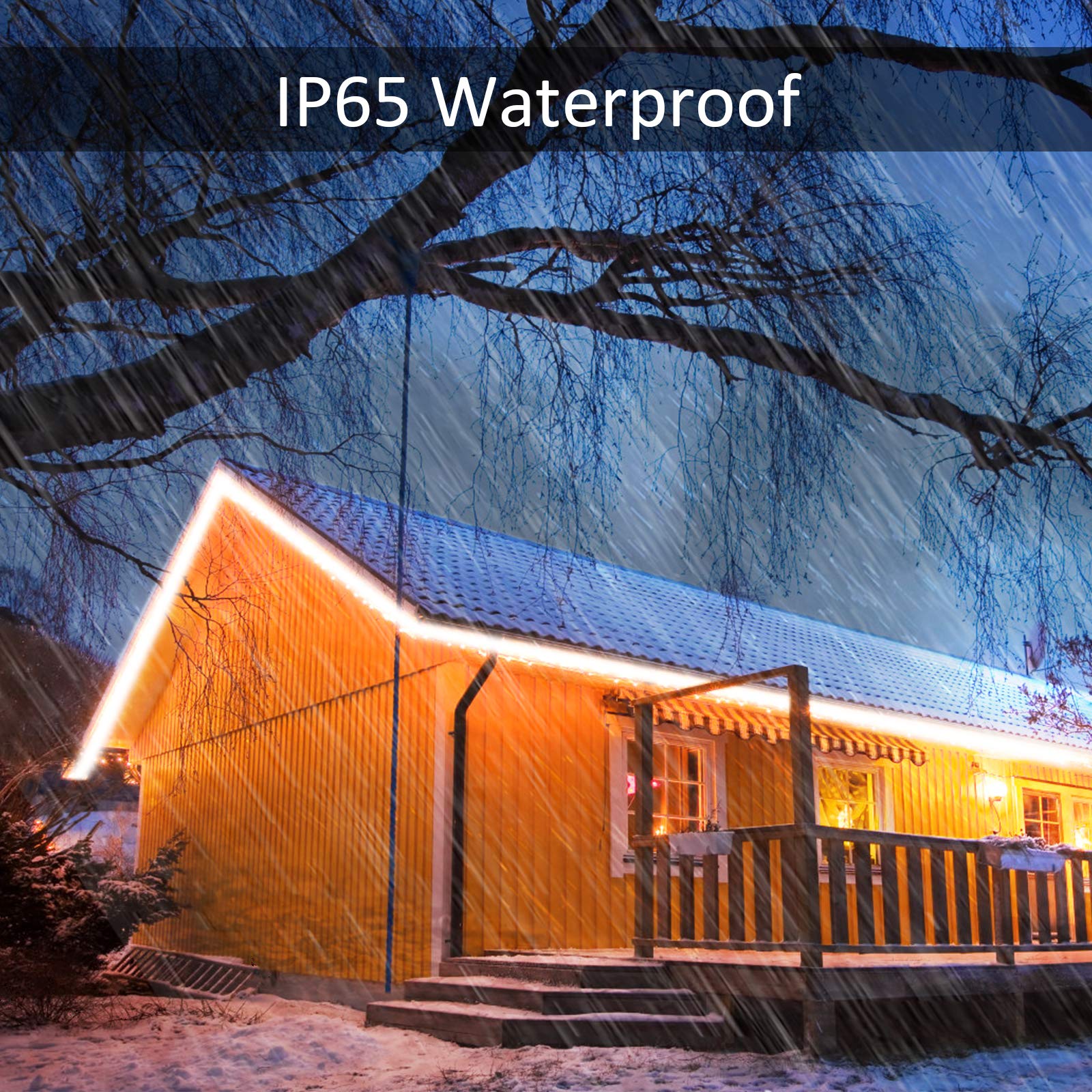 HotMoon Smart LED Outdoor Rope Light 52.5ft RGB Music Sync App Control IP65 Model NTS50-RGB-US-F