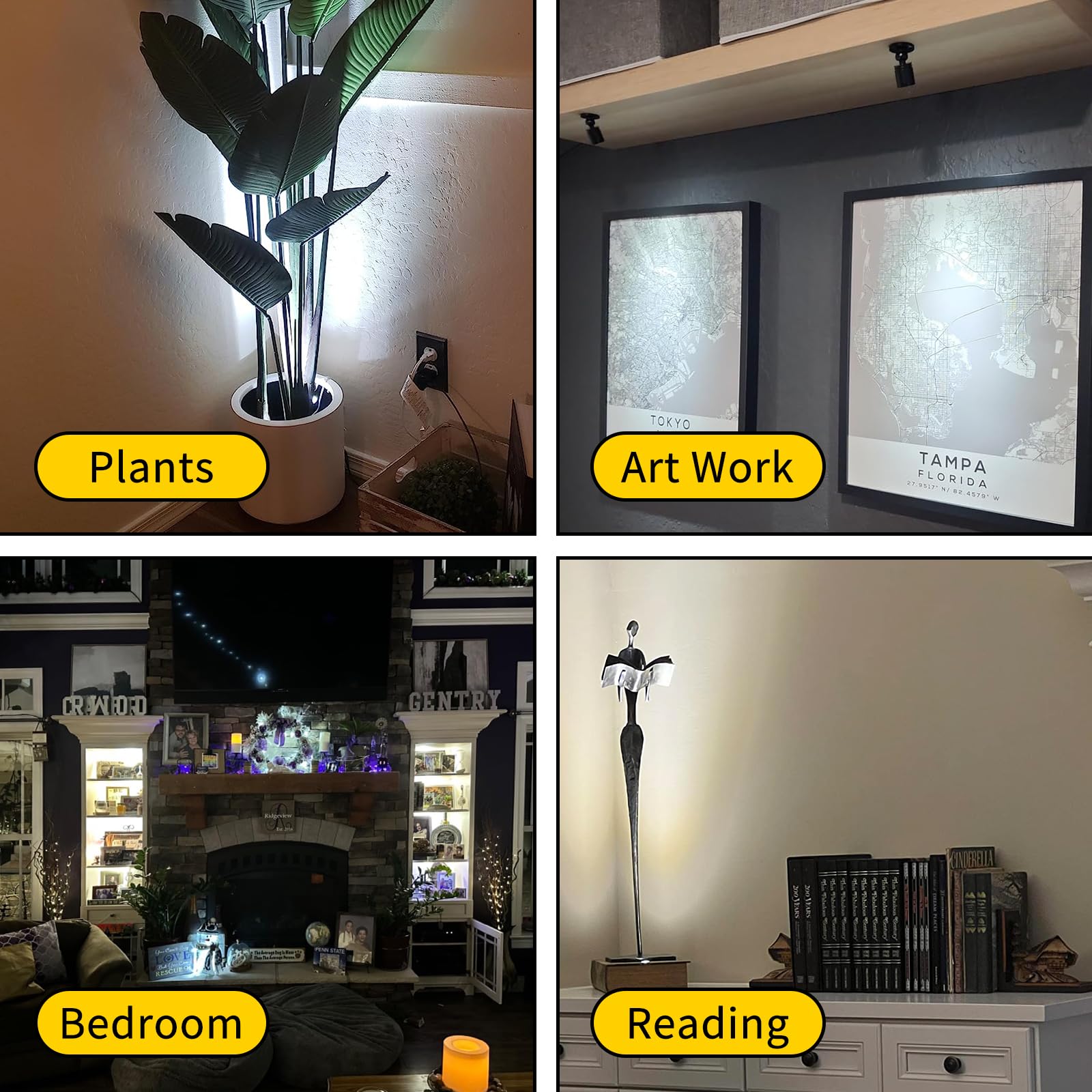 Dtructiew LED Spot Light 6PCS, 1W Dimmable Indoor Accent Lights, Daylight 6000K, Aluminum Steel, Model XTGTD01