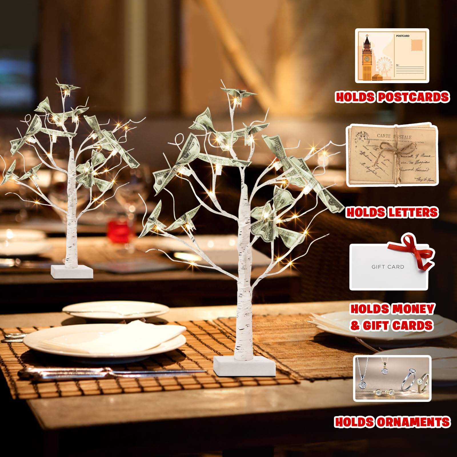 PEIDUO Money Tree Gift Holder Set of 2, Lighted 22Inch, 24LT White with Clips and Cards, Transparent/White