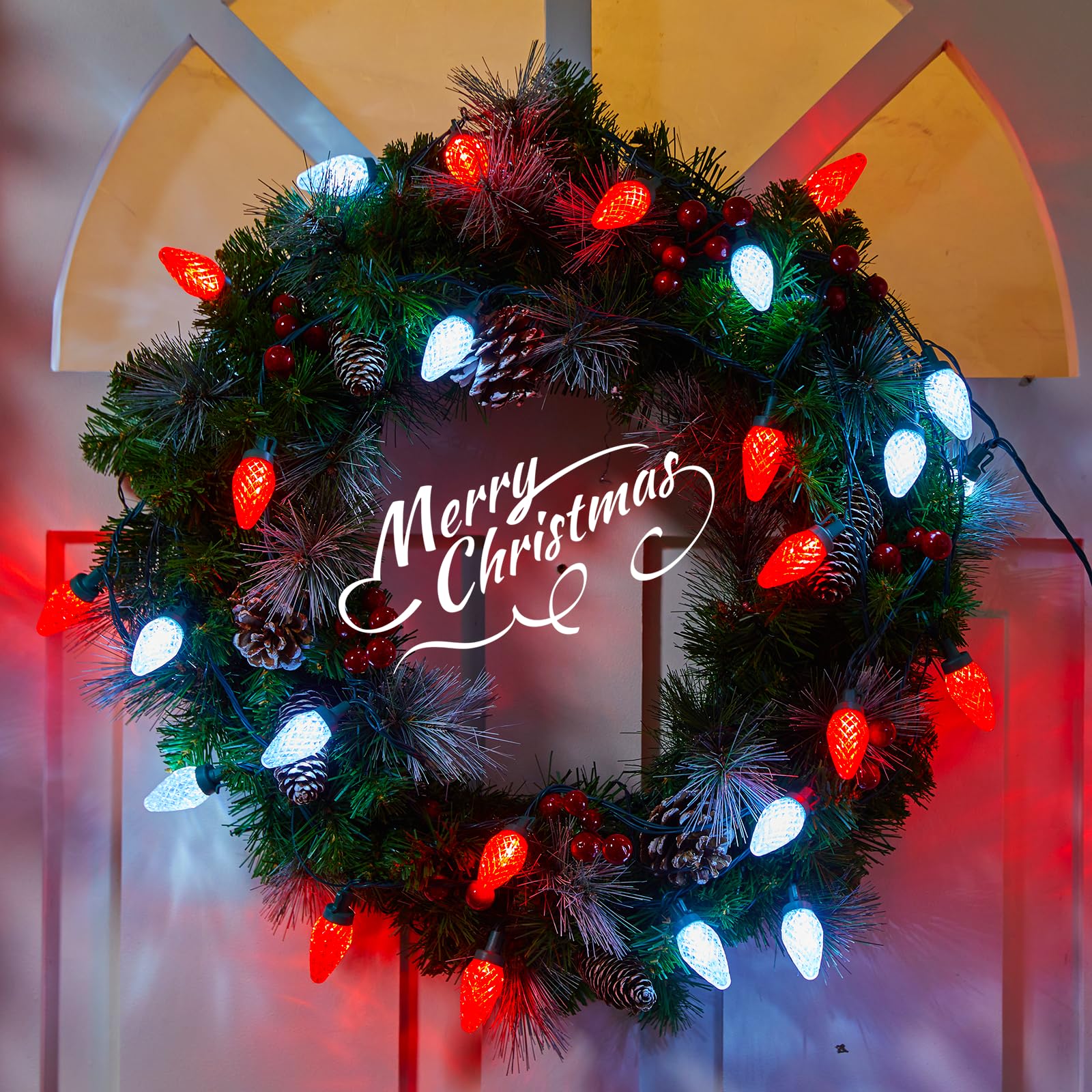 C9 Led Christmas Lights Outdoor, 81 Feet 100 Led String Lights With Timer & 8 Light Mode, Waterproof Commercial Grade Christmas