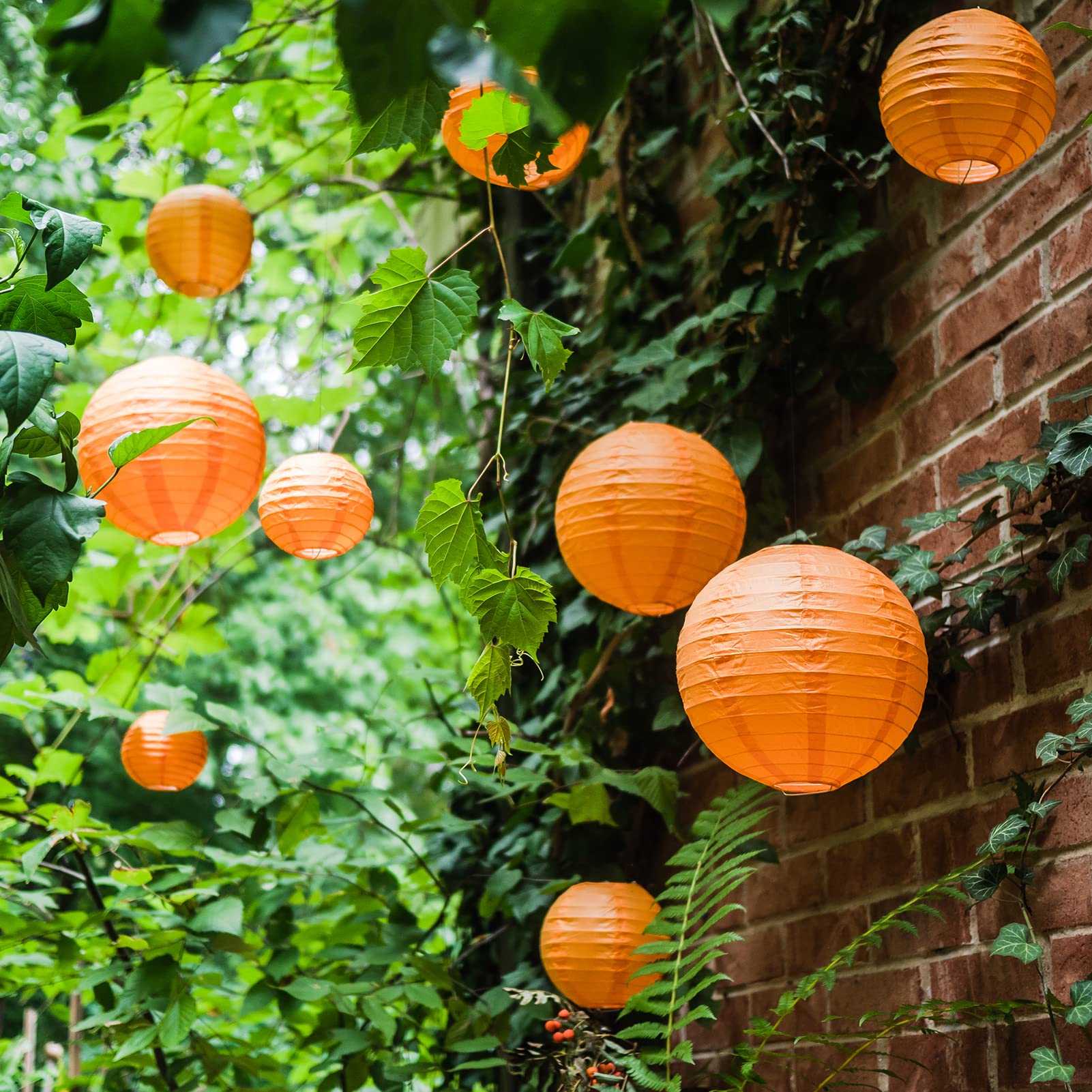Orange Paper Lanterns - 25 Piece Set - Party Decorations For Birthdays, Weddings And Special Occasions By Avoseta