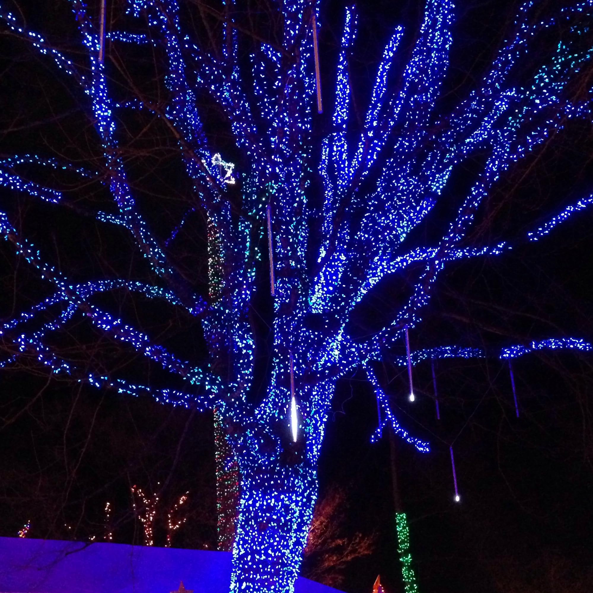 Dazzle Bright Outdoor Christmas String Lights, 1000 Led 328 Ft Plug In Fairy Light With Remote Control 8 Modes & Timer, Waterproof Decoration For Home Garden Yard Xmas Wedding, Blue