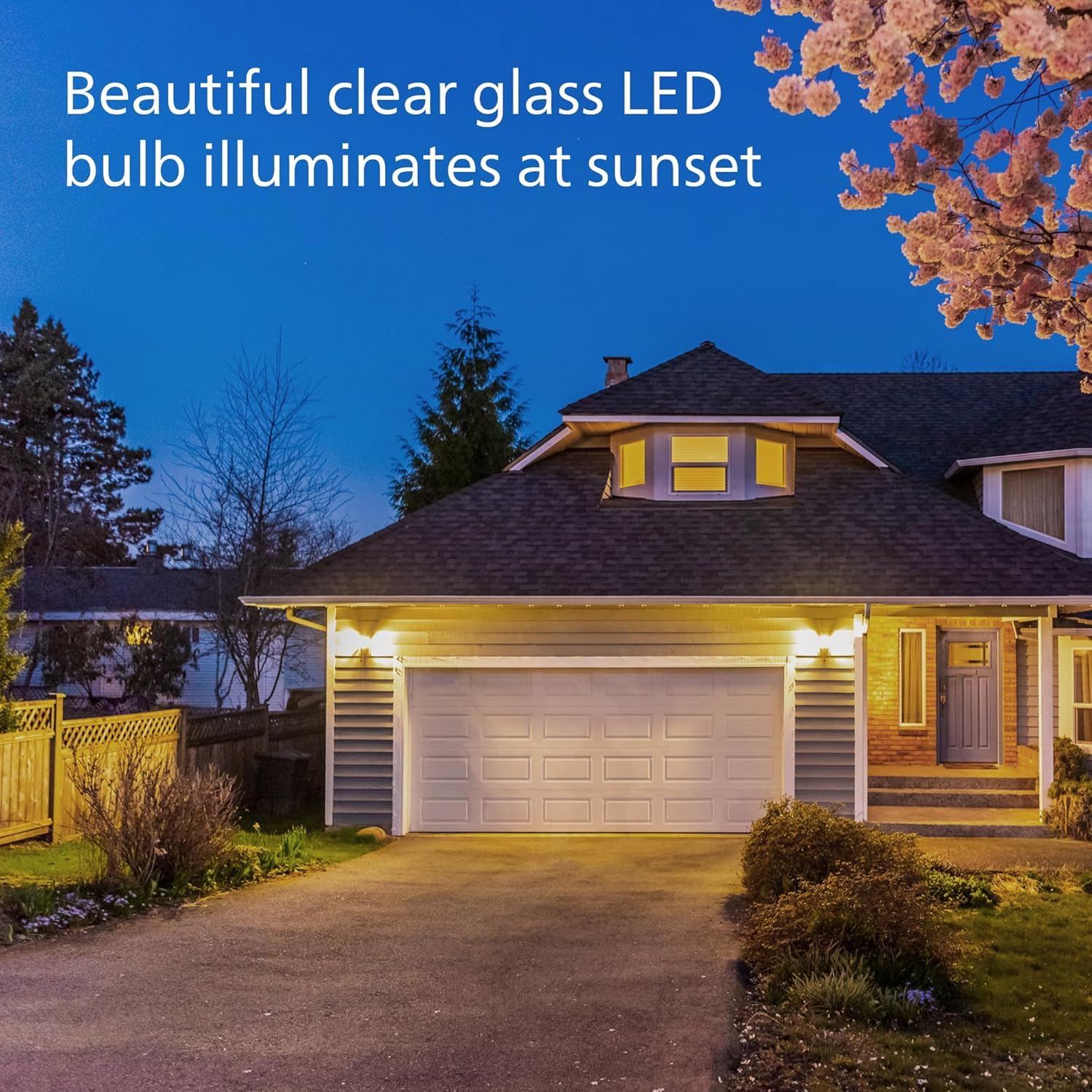 Philips Led St19 Dusk To Dawn Led Light Bulbs - Flicker Free 60W Light Bulbs With Eyecomfort Technology - Soft White Lightbulb -