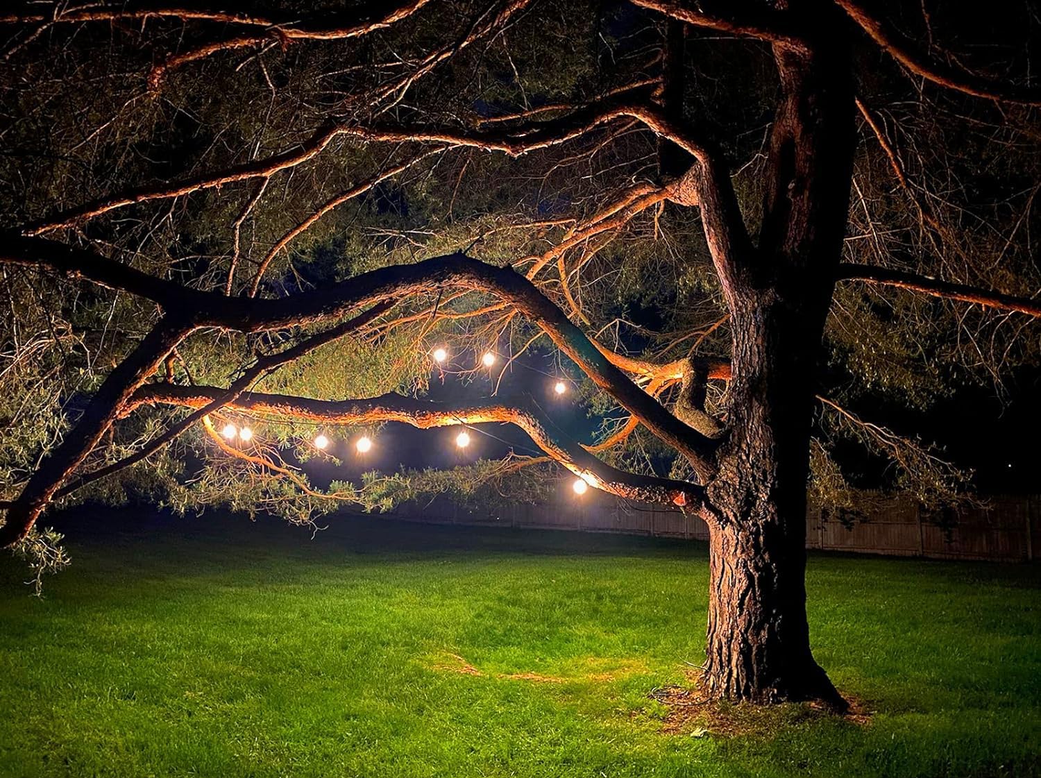 Magictec LED Shatterproof String Lights, 48FT Black Weatherproof Cord, Warm White, 15 Hanging Sockets, Model MT-S141